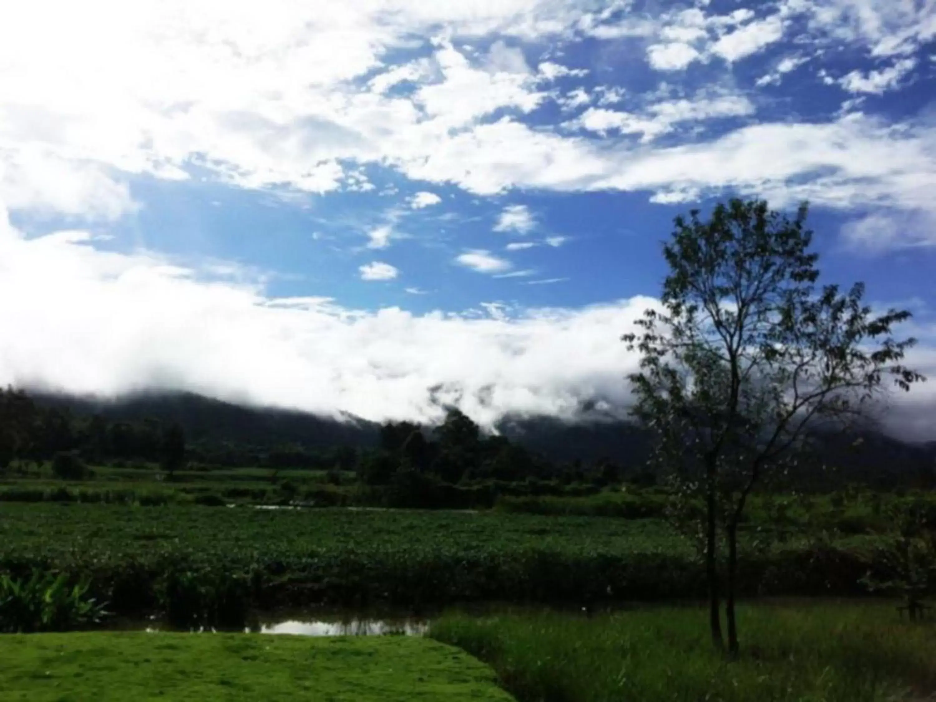 Natural landscape in Yoma Hotel, Pai