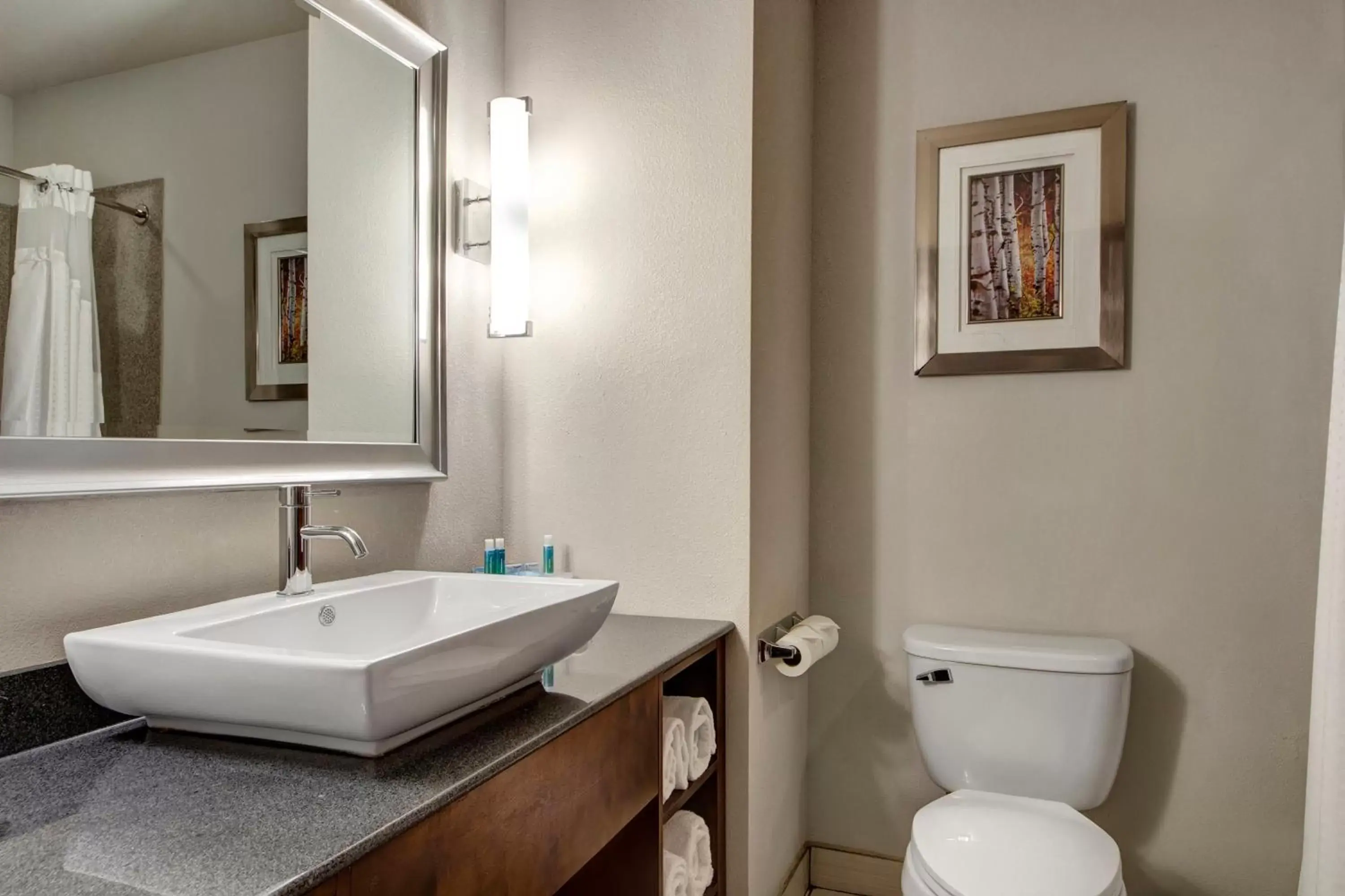 Bathroom in Holiday Inn Express and Suites Oklahoma City North, an IHG Hotel