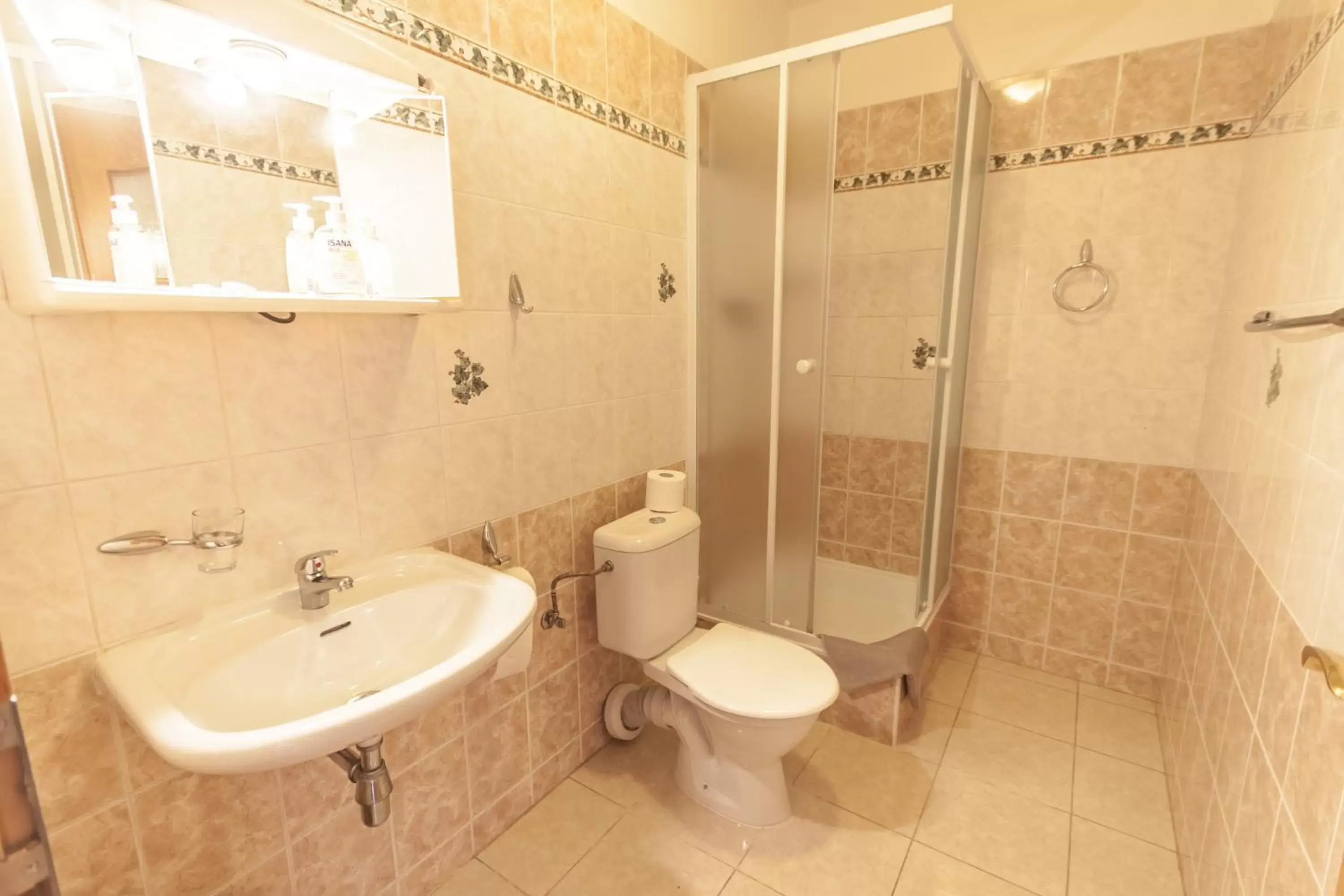 Shower, Bathroom in Brezina Pension