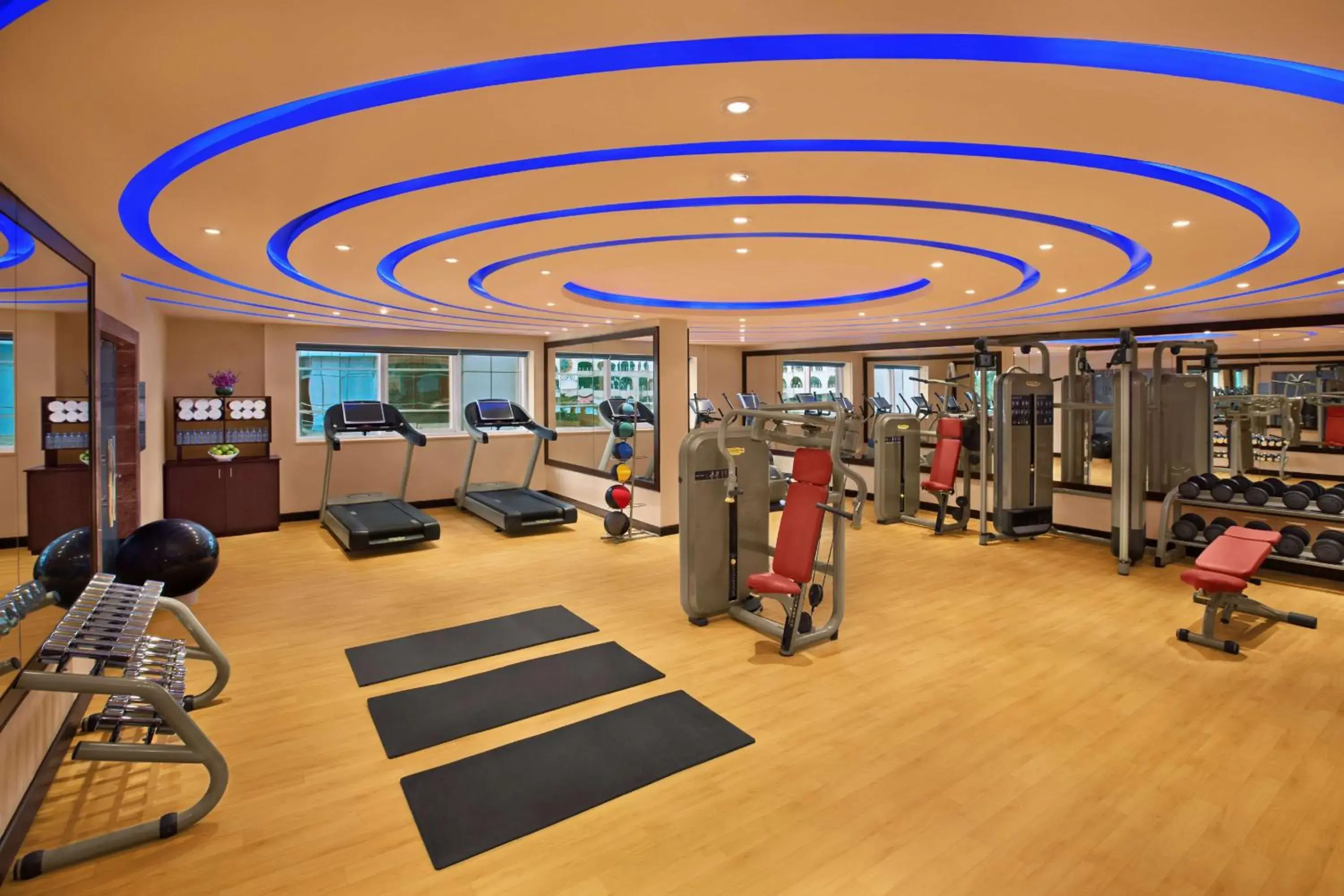 Fitness centre/facilities, Fitness Center/Facilities in DoubleTree by Hilton Hotel and Residences Dubai – Al Barsha