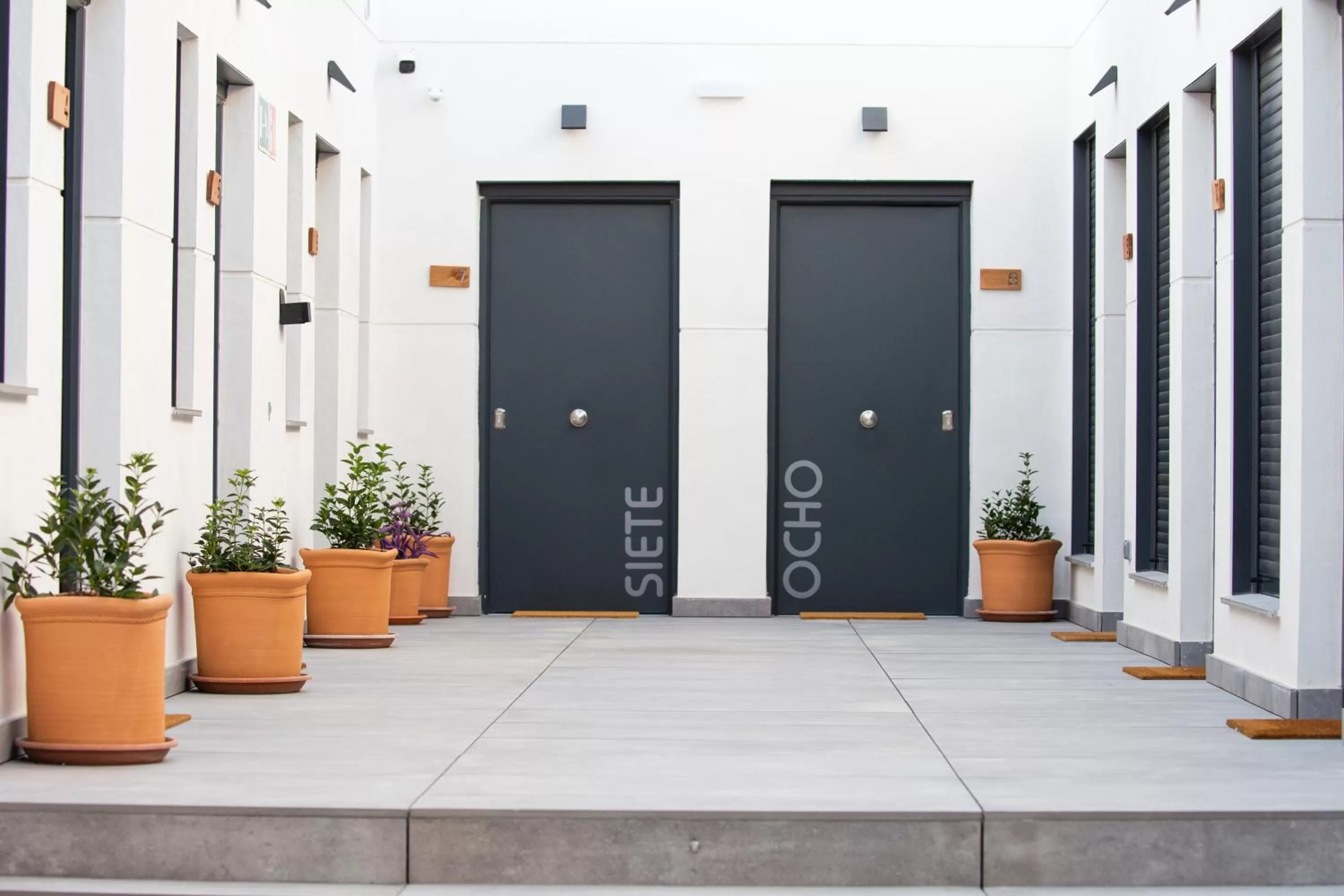 Patio in HOTEL IBERUM