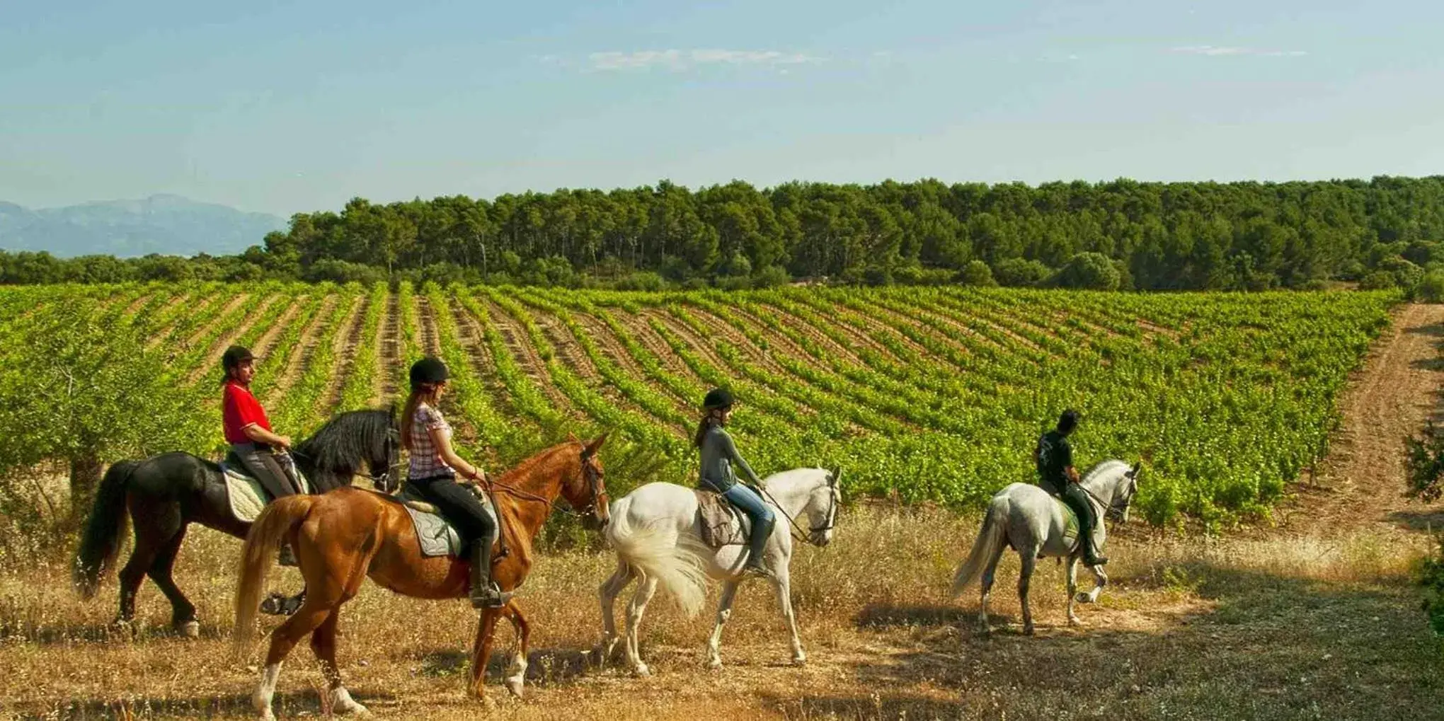 Activities, Horseback Riding in Elegance Diana