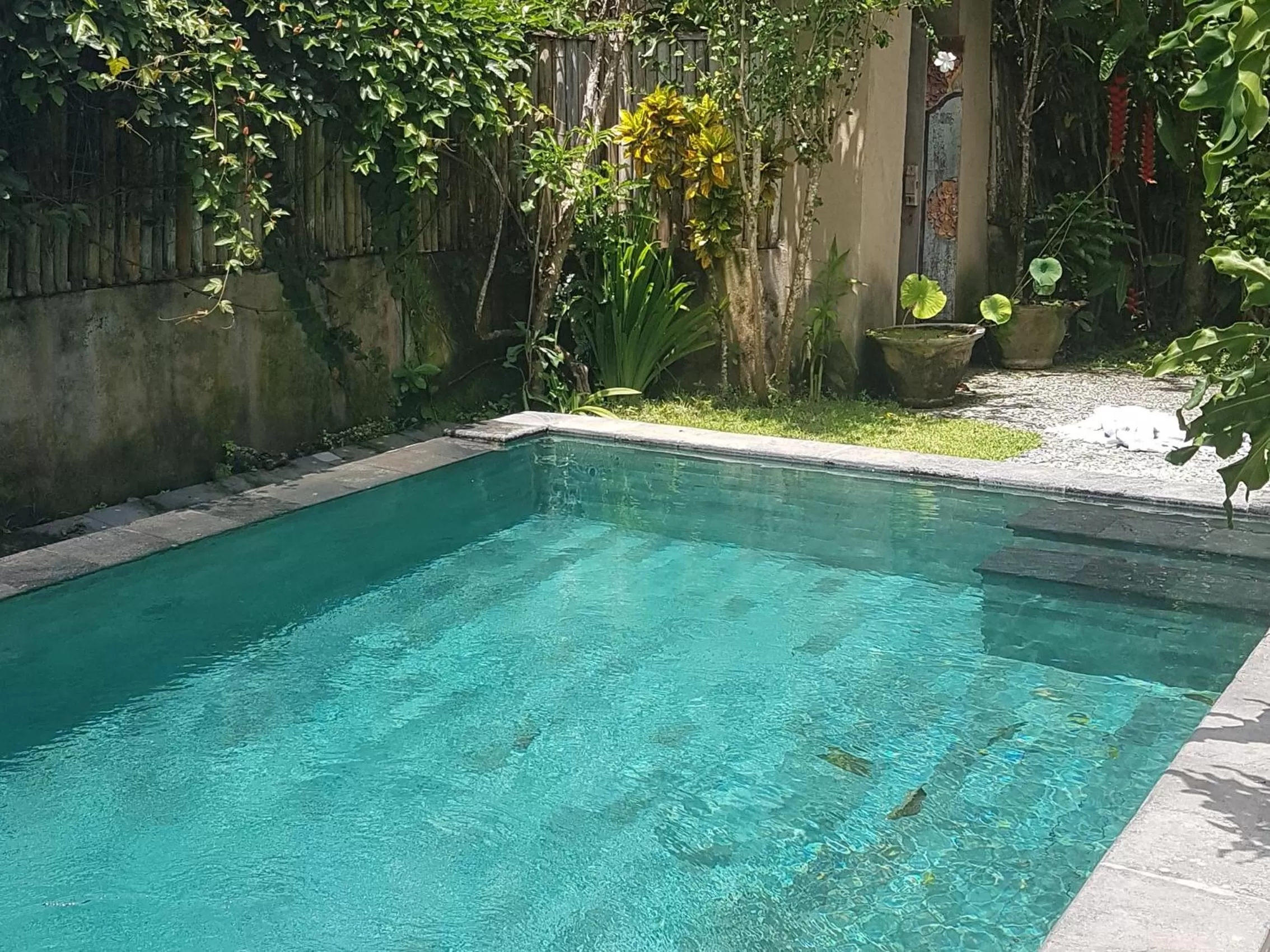 Pool view in Lembah Sentosa