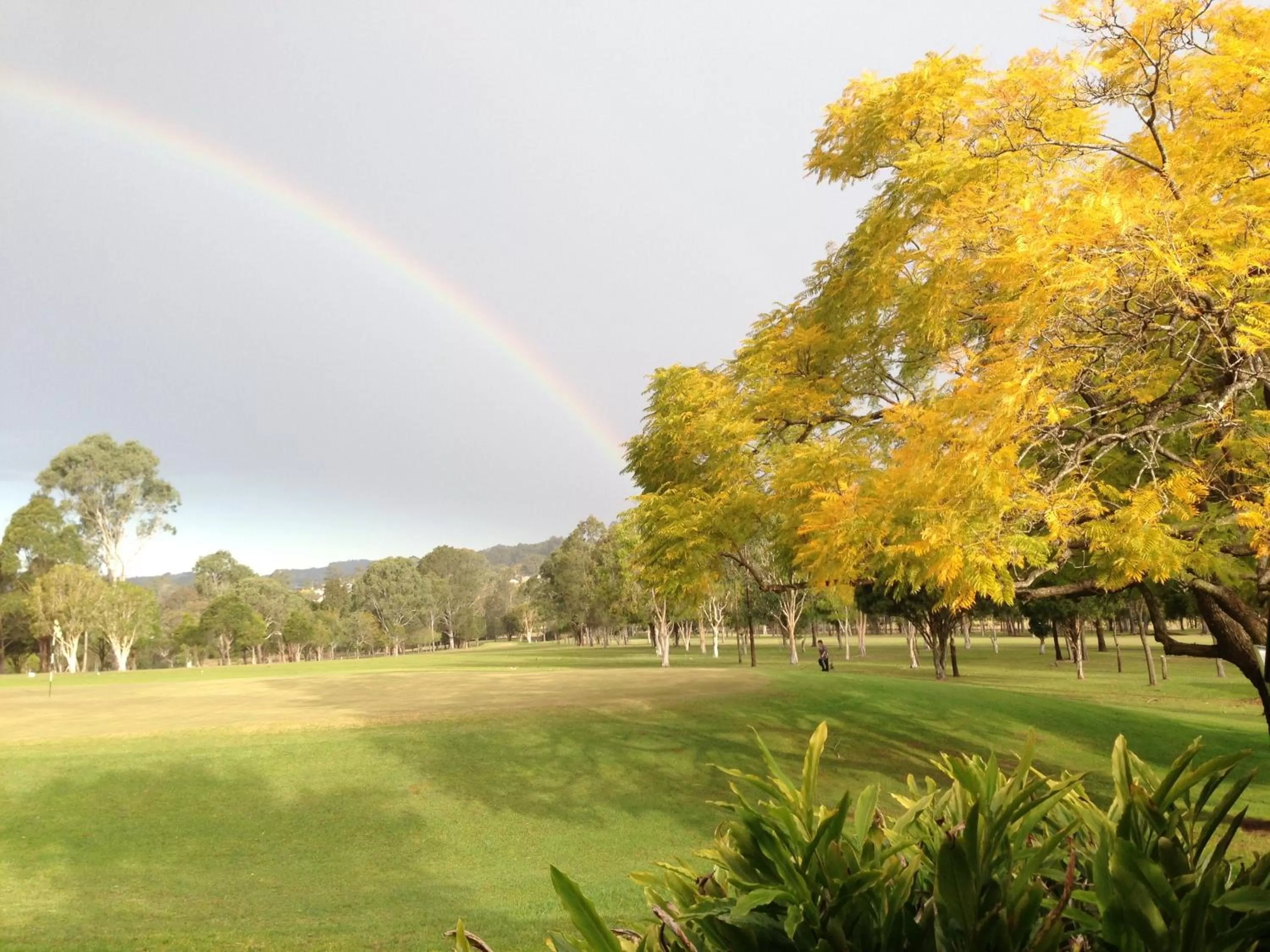 View (from property/room) in Golf Club Motor Inn Wingham
