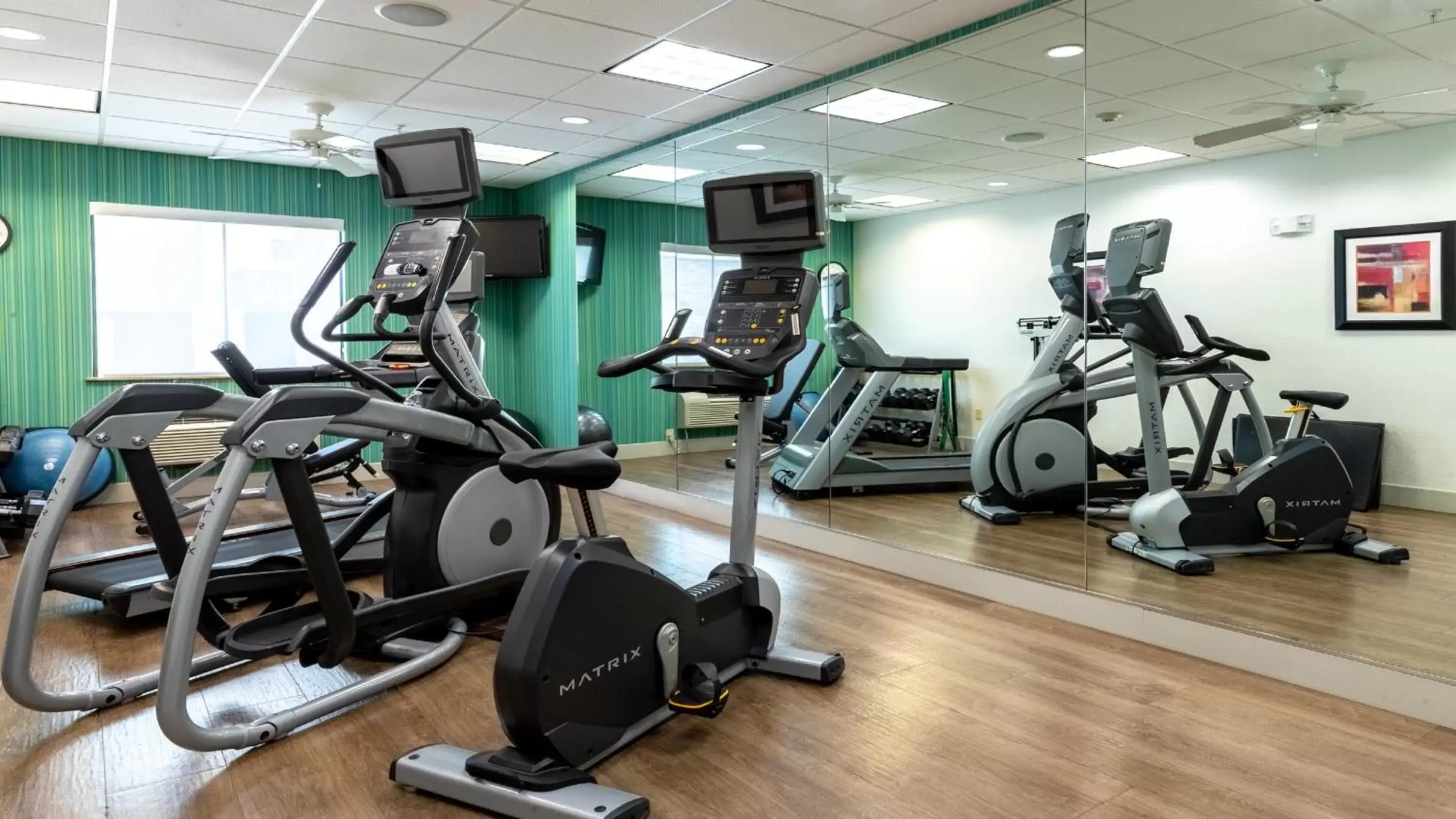 Spa and wellness centre/facilities, Fitness Center/Facilities in Holiday Inn Express & Suites Houston South - Near Pearland, an IHG Hotel
