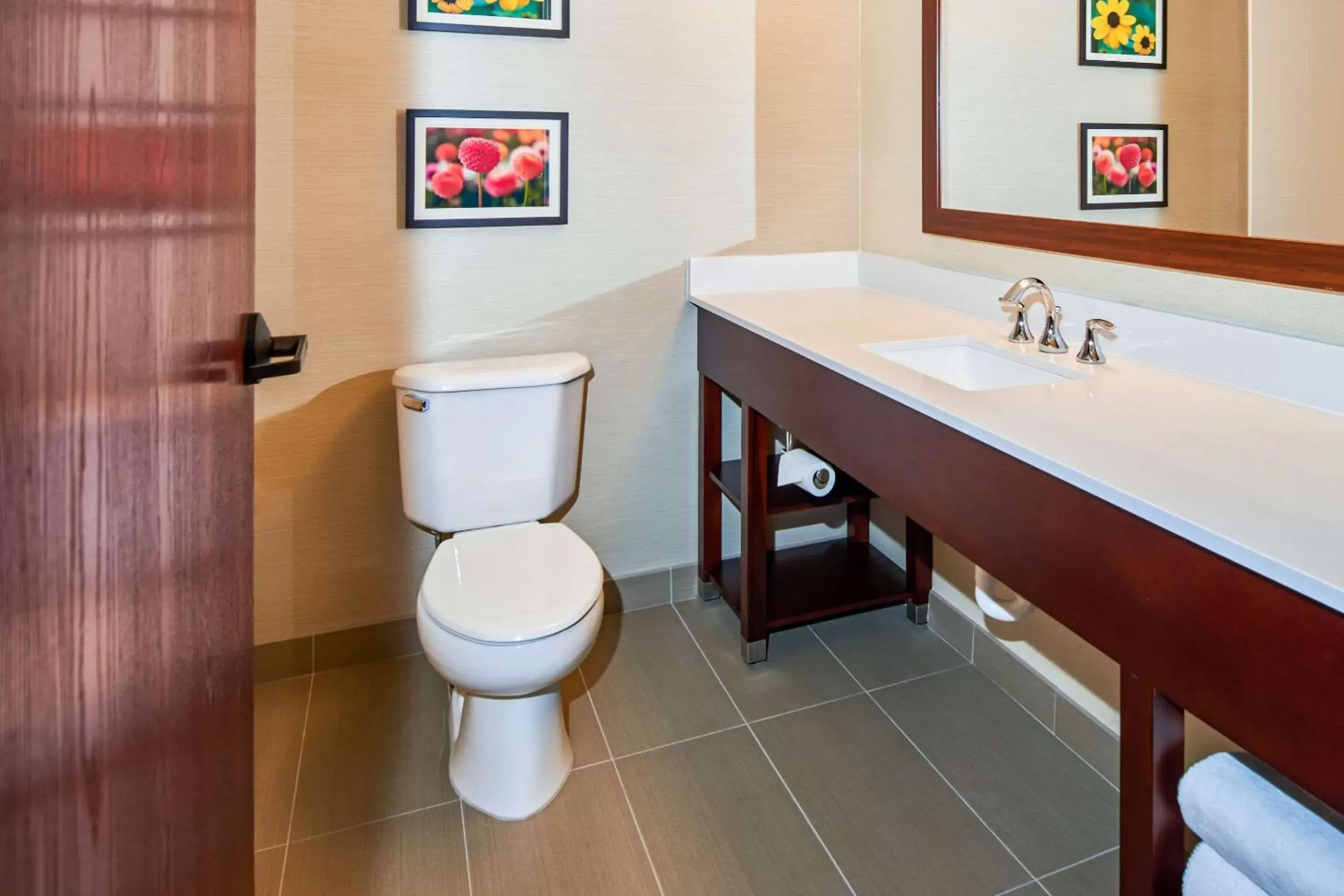 Bathroom in Comfort Suites near Penn State - State College