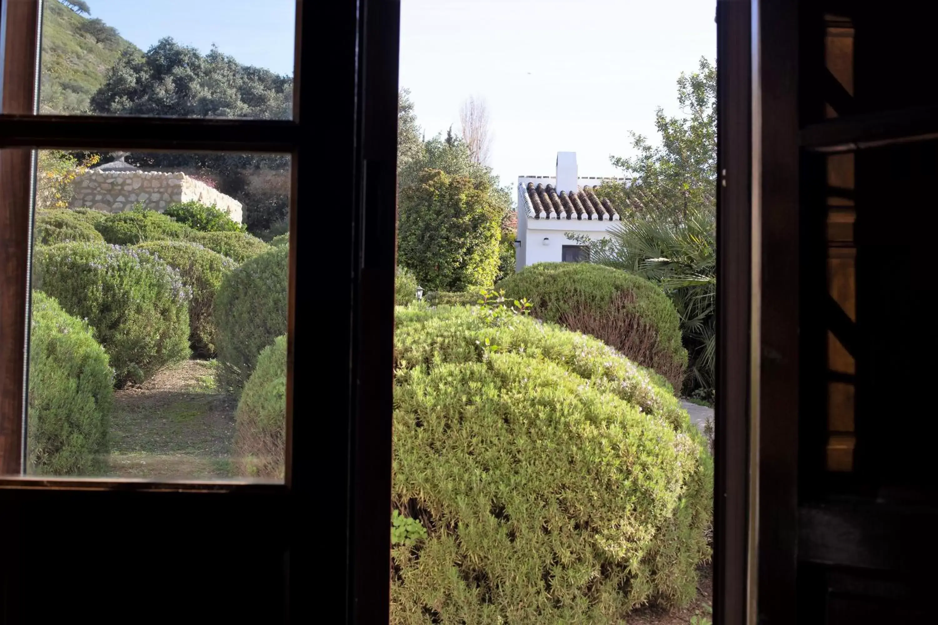 Garden in La Fuente del Sol Hotel & Spa