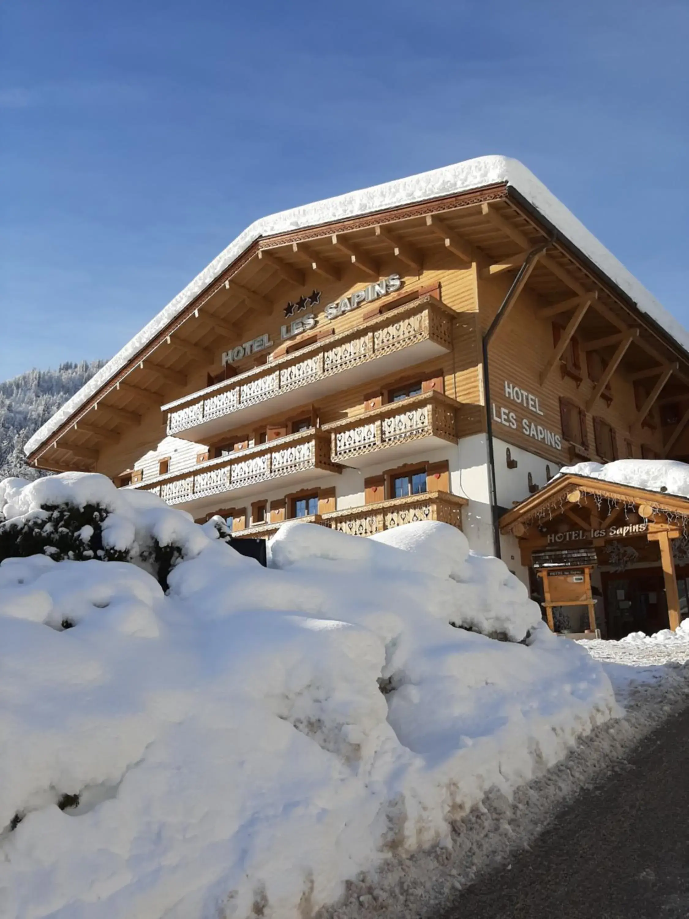 Property building, Winter in Hotel les Sapins