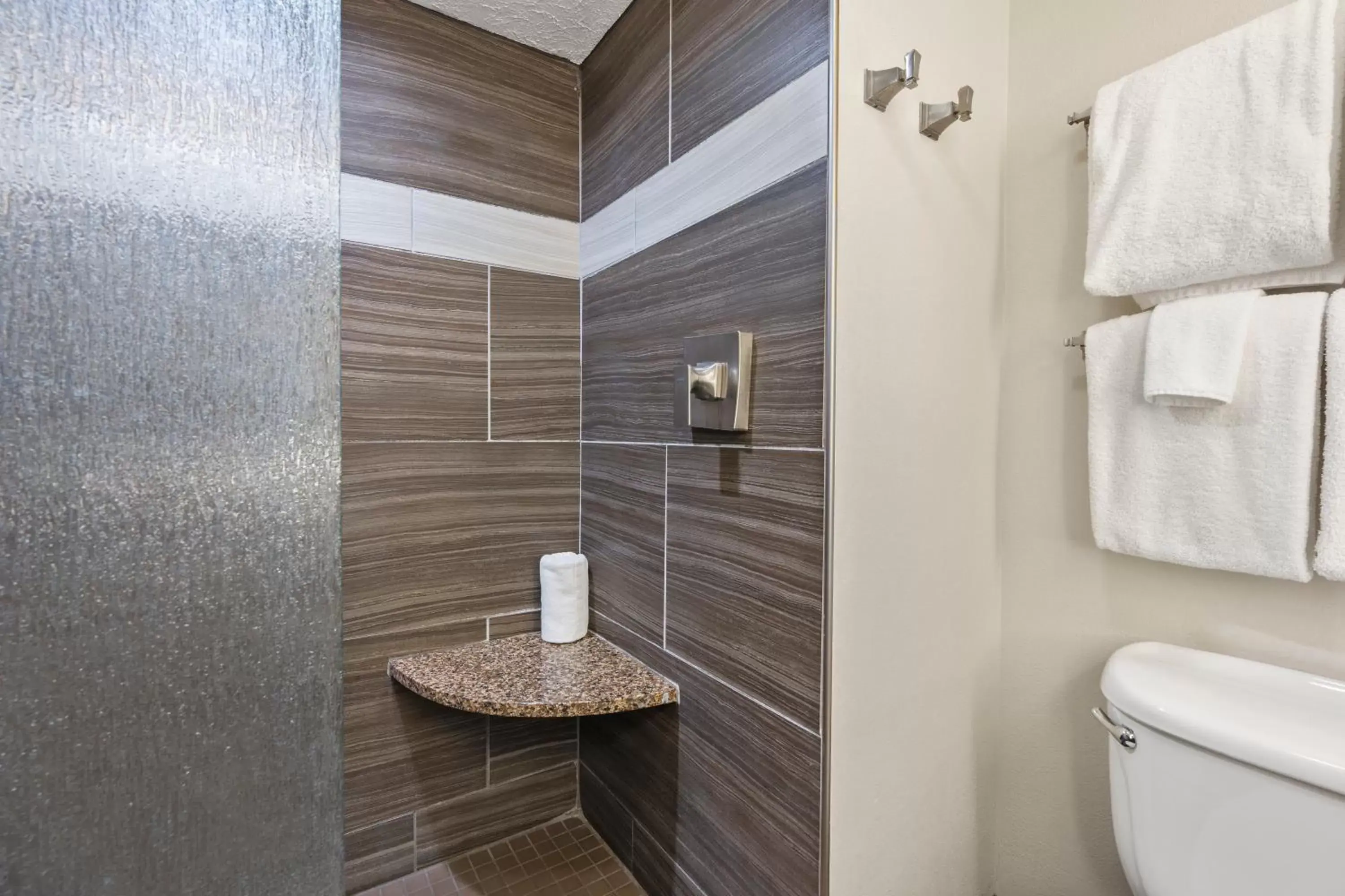 Shower, Bathroom in Cherry Tree Inn & Suites