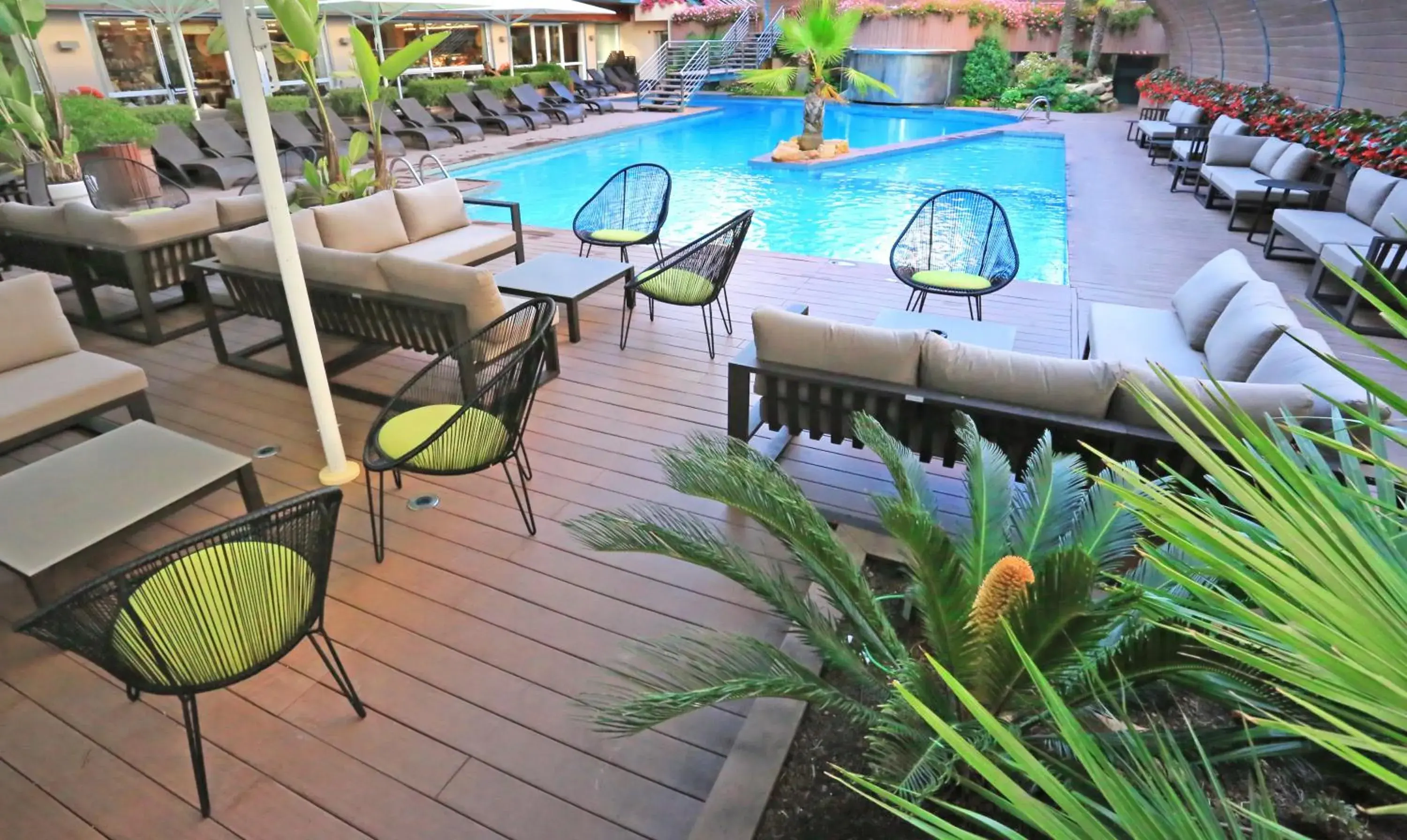 Swimming pool, Pool View in Hotel Kaktus Playa