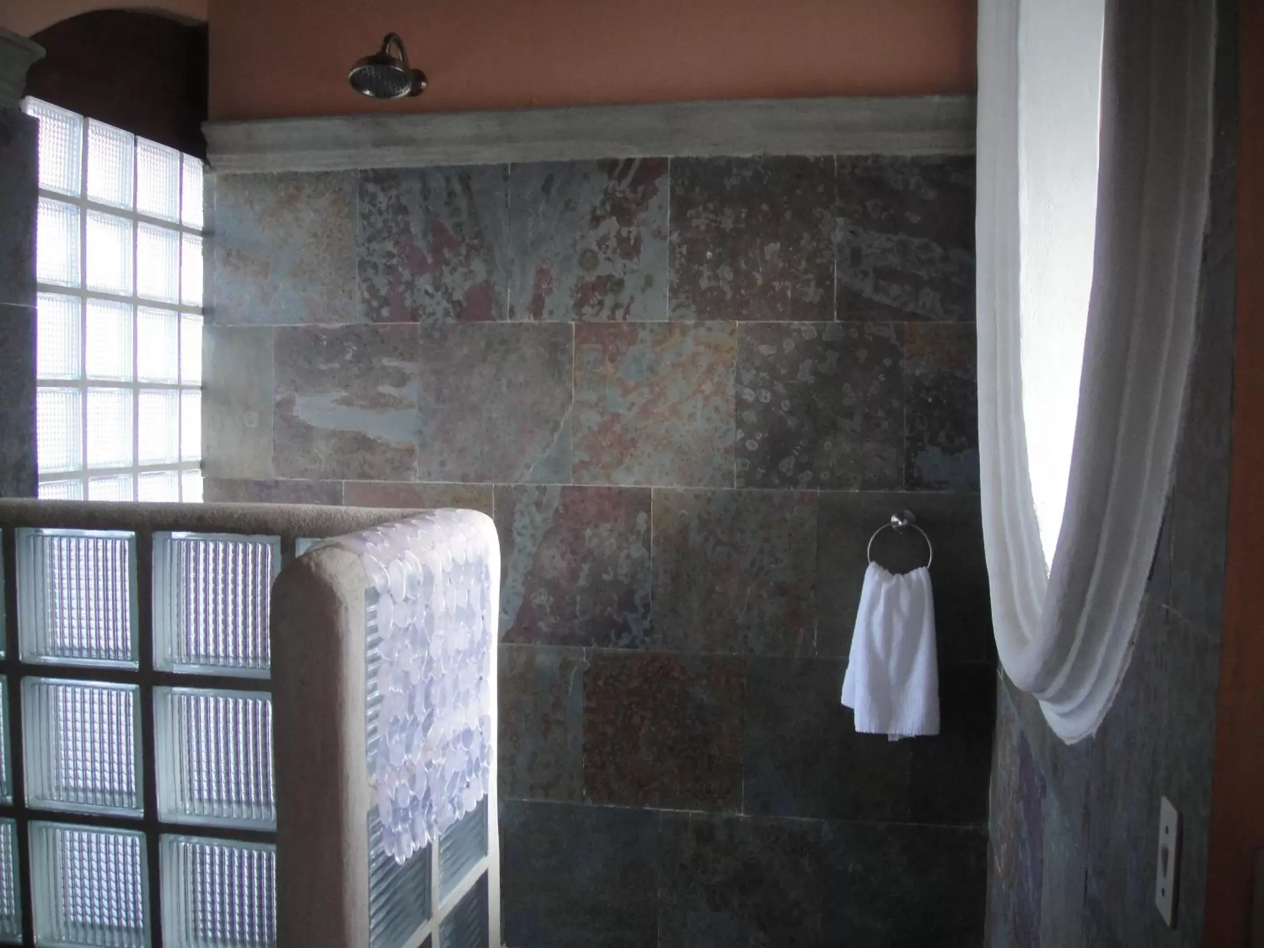 Shower, Bathroom in Hotel Casa del Consulado