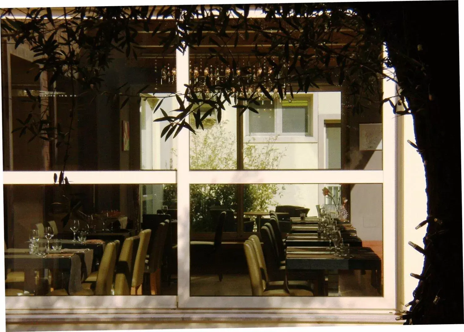 Garden in Admiral Park Hotel