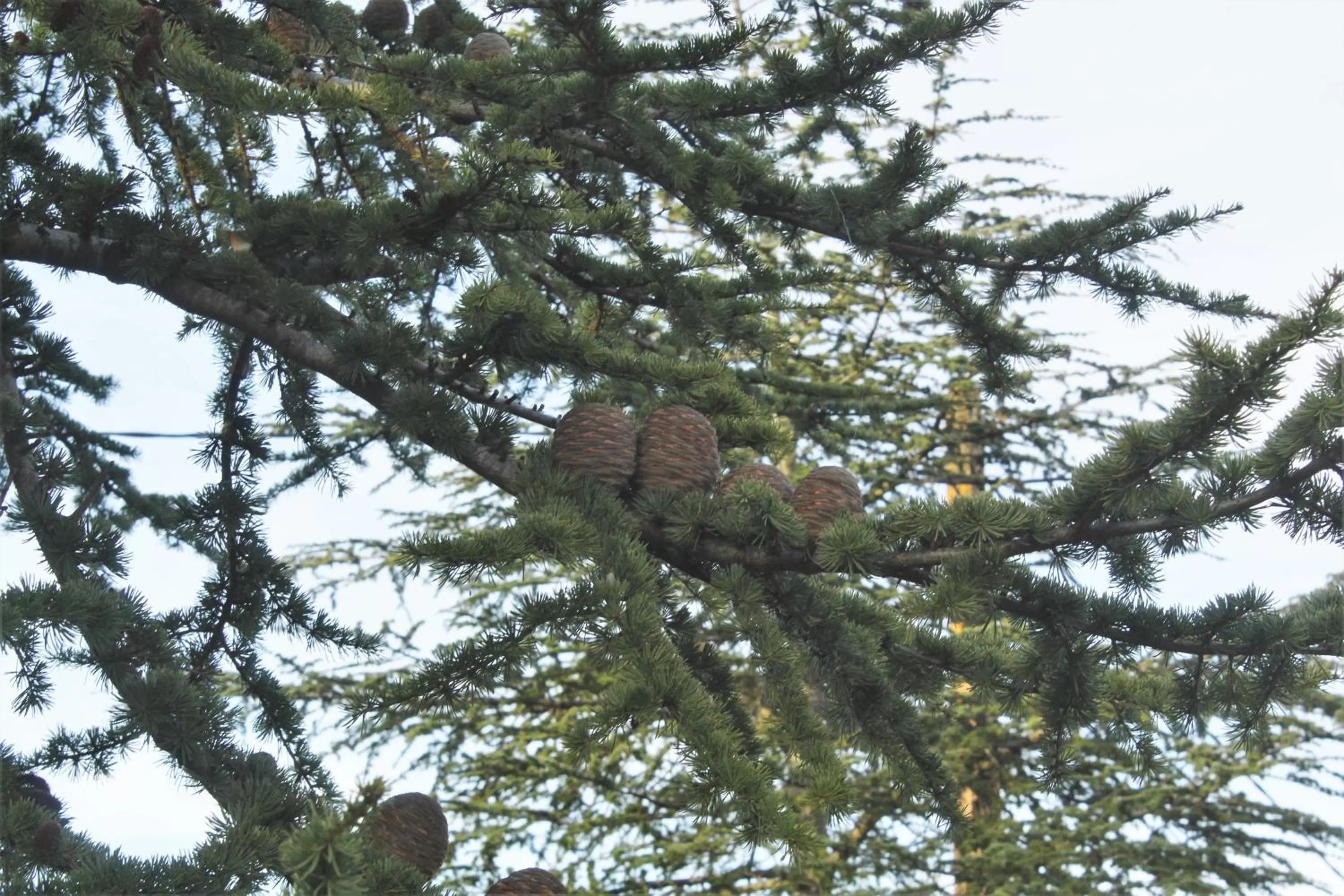 Domaine de la Couderquié