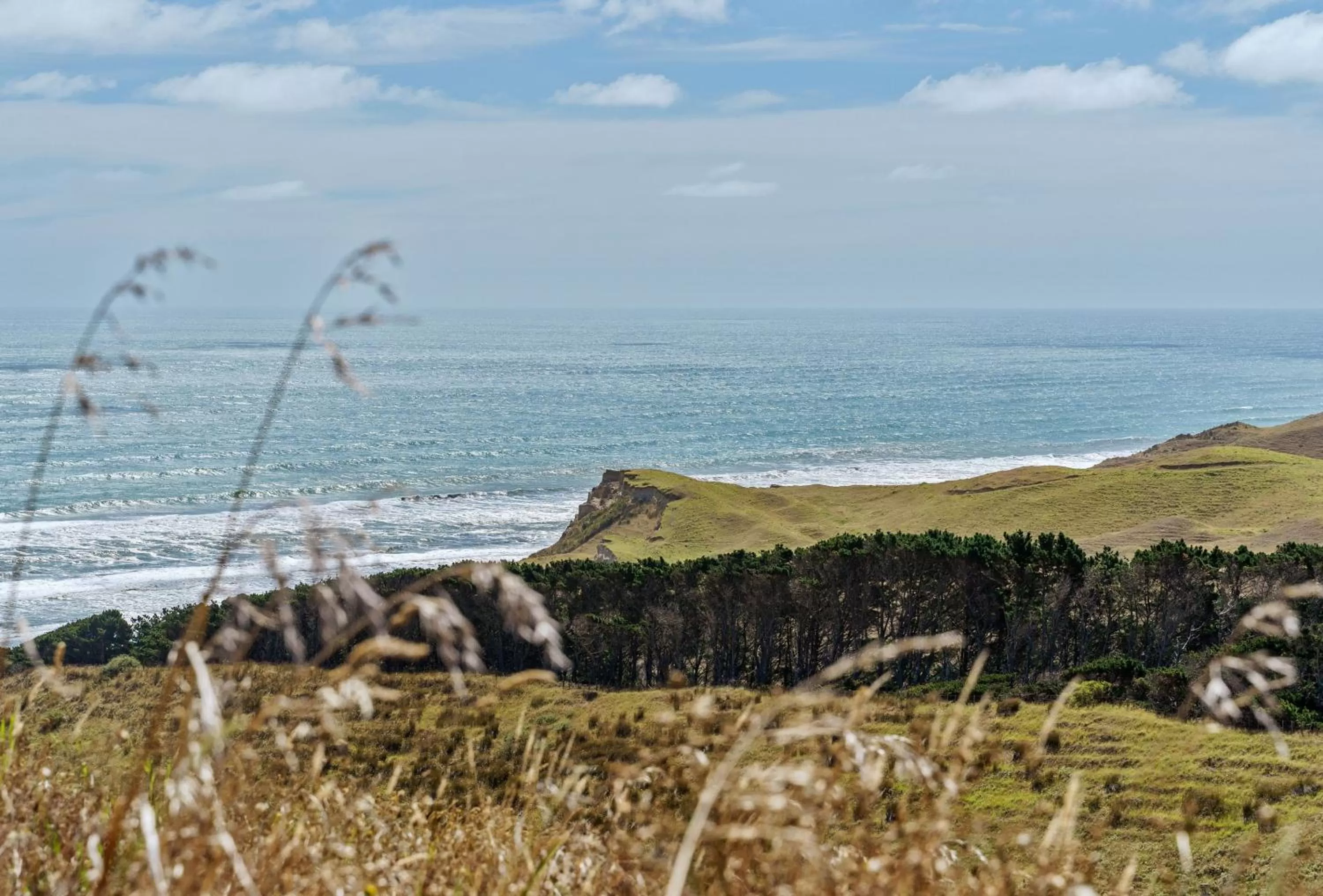 Natural landscape in Castaways Resort