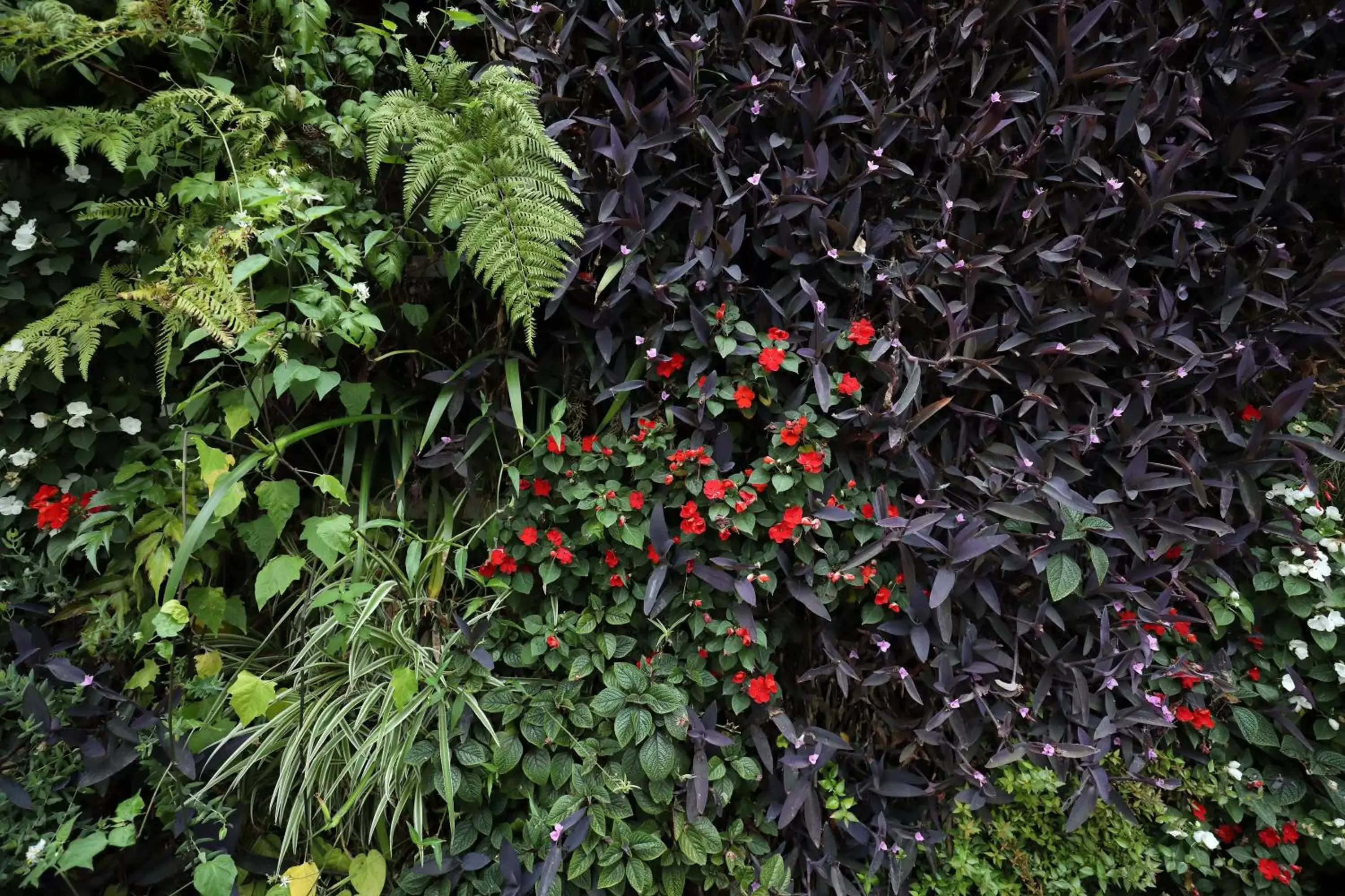 Garden in Novotel Buenos Aires