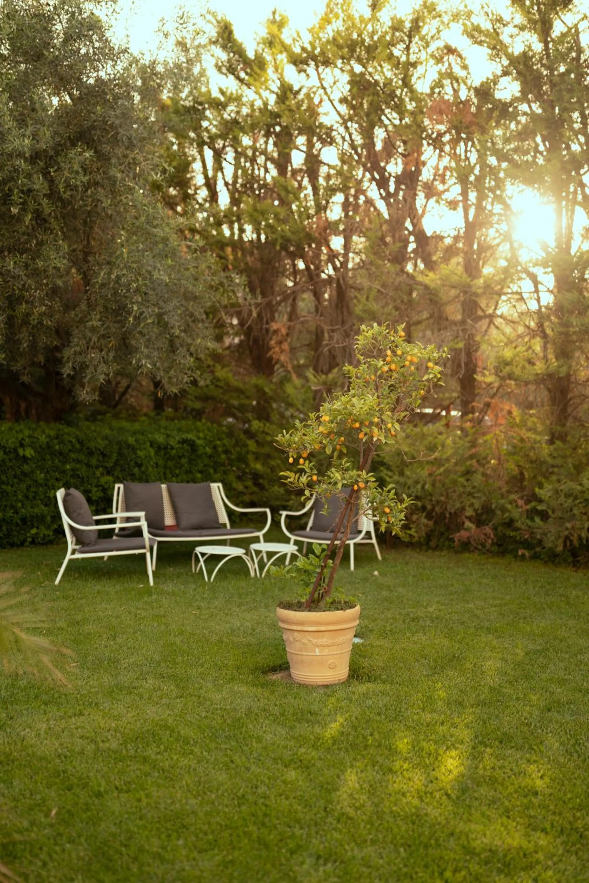 Spring in Anthemion Suites and Villas