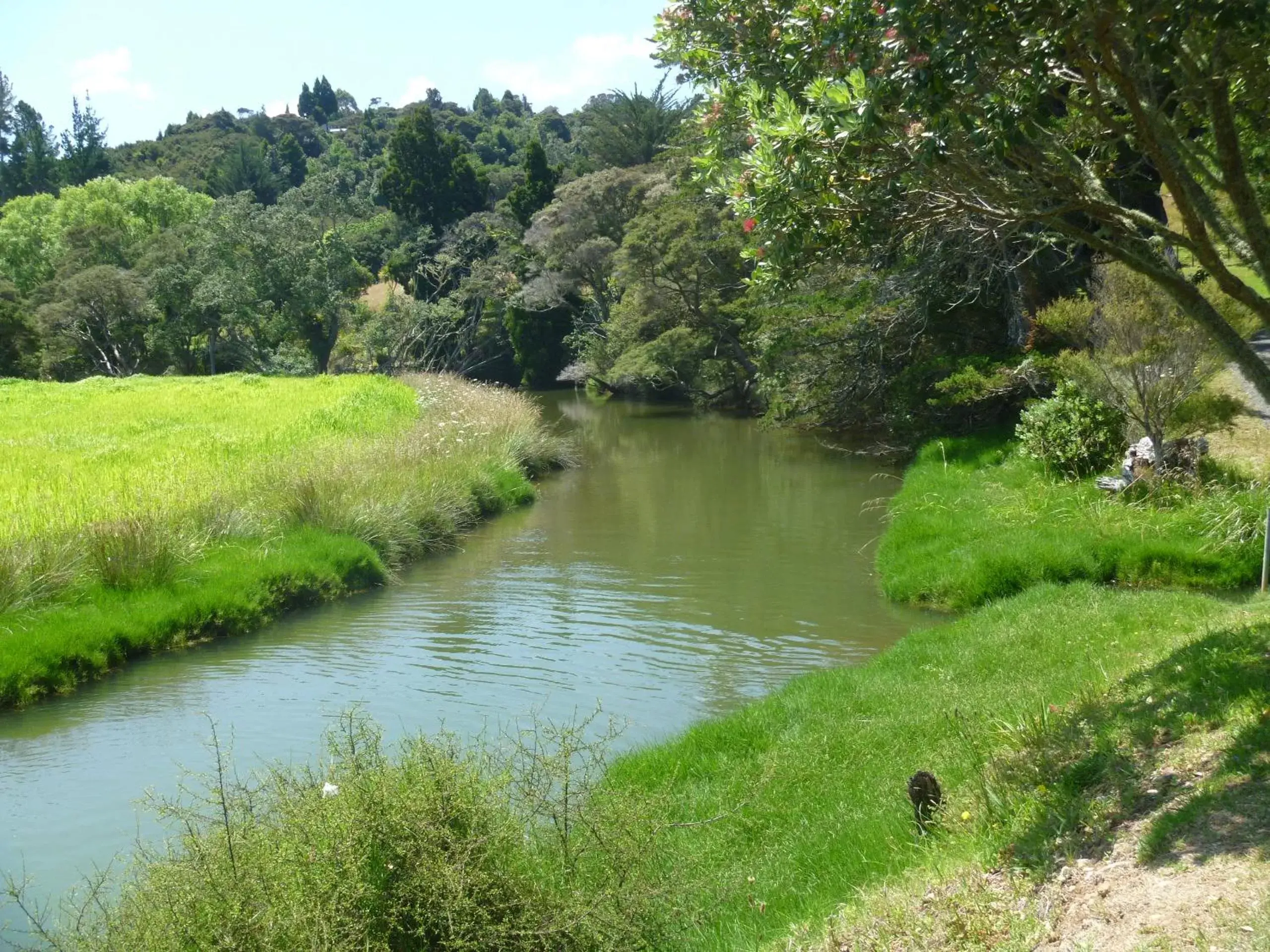 Natural landscape in At Parkland Place B&B