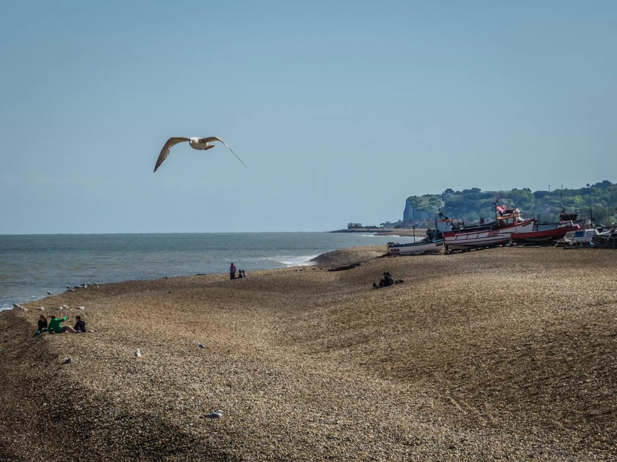 Beach in Waterfront Hotel