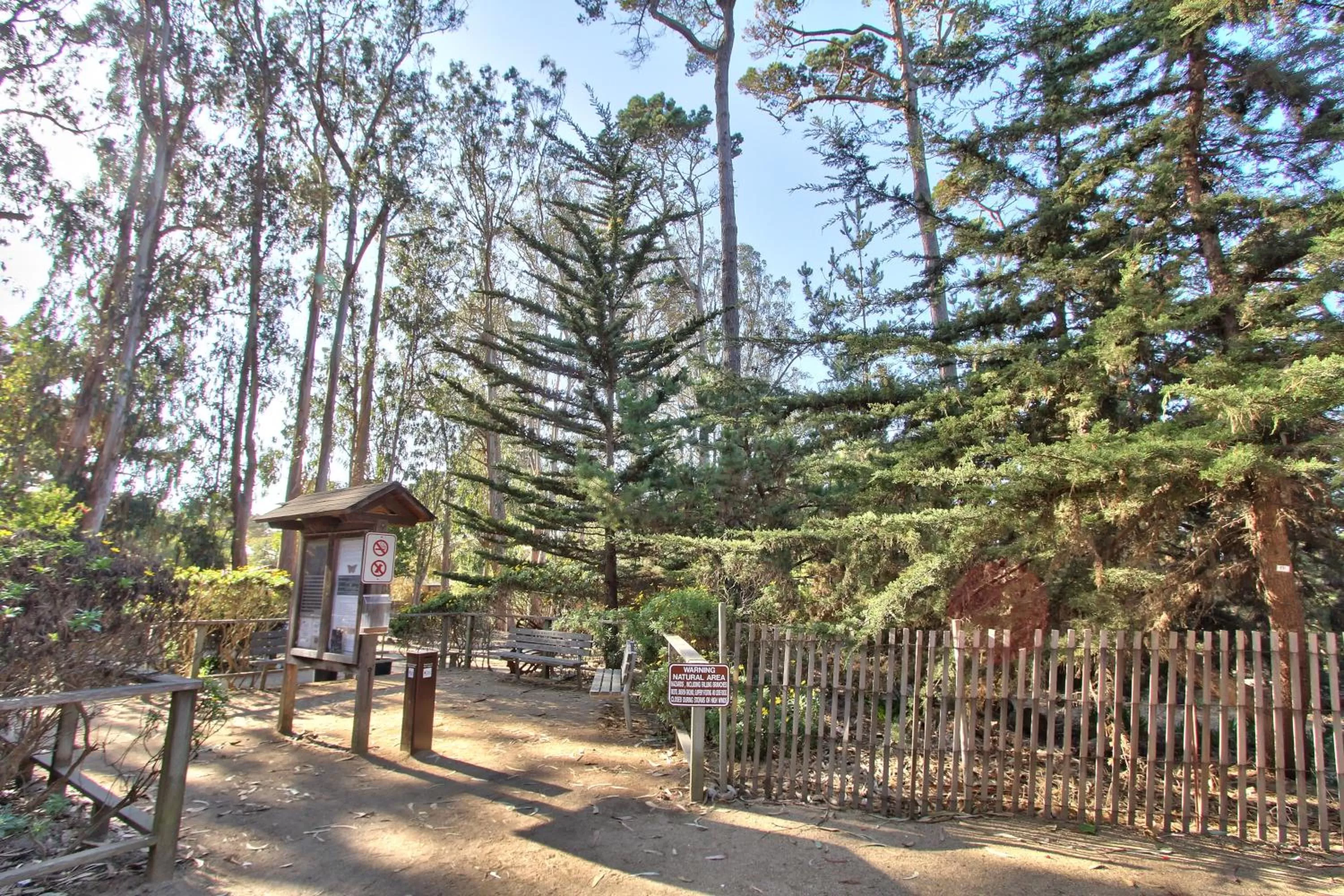 Garden in Butterfly Grove Inn