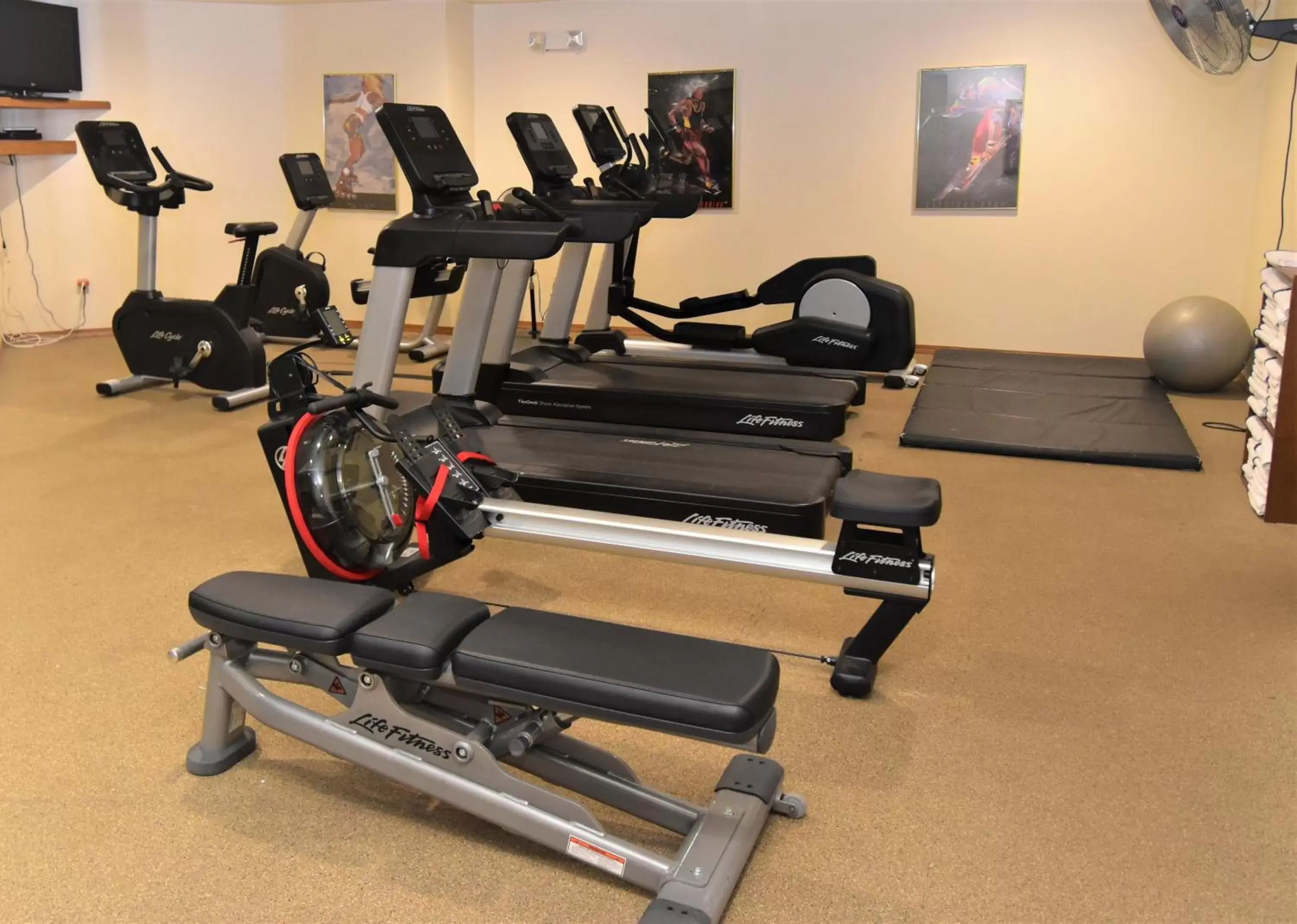 Fitness centre/facilities, Fitness Center/Facilities in Pheasant Park Resort