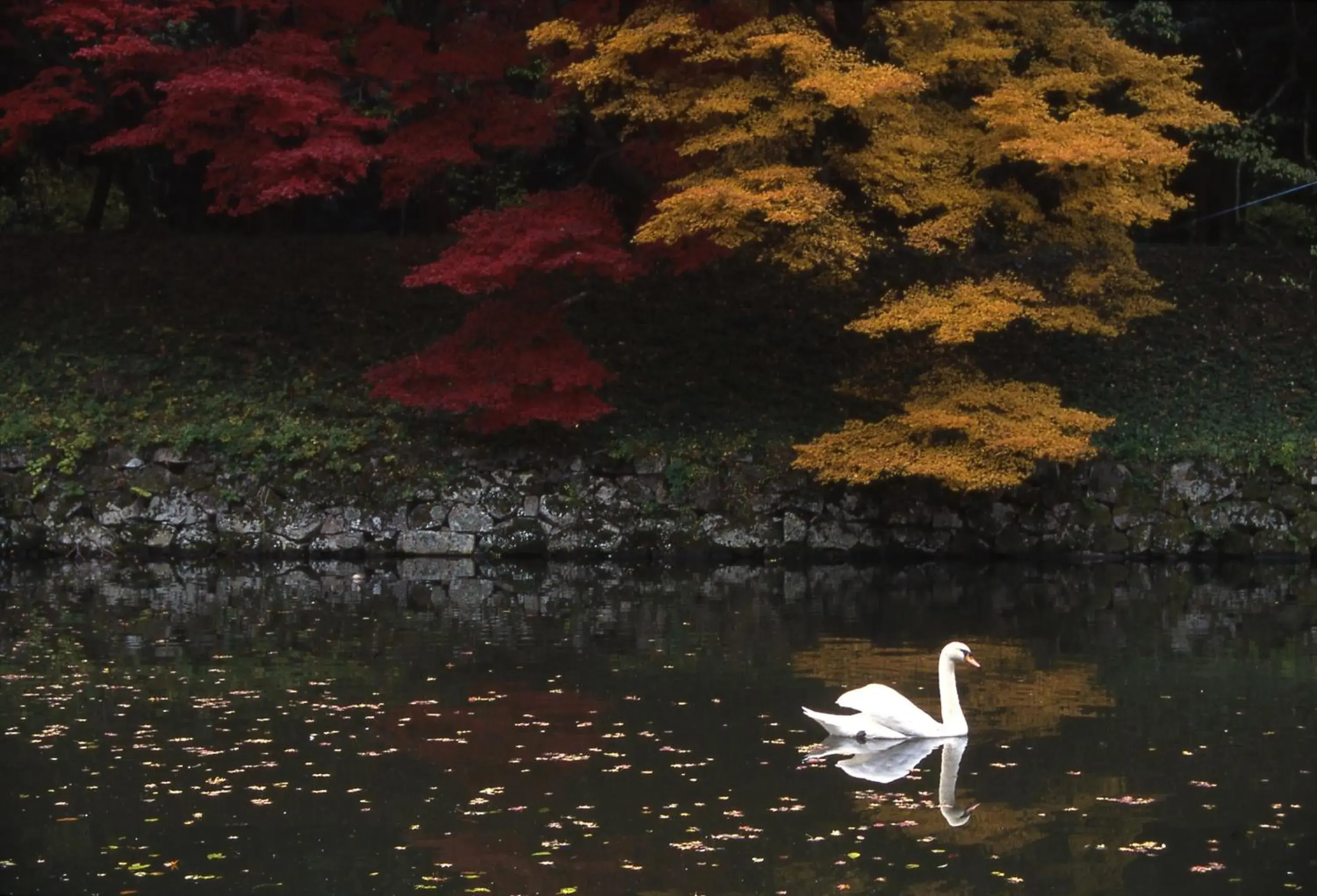 Nearby landmark in Apa Hotel Hikone Minami