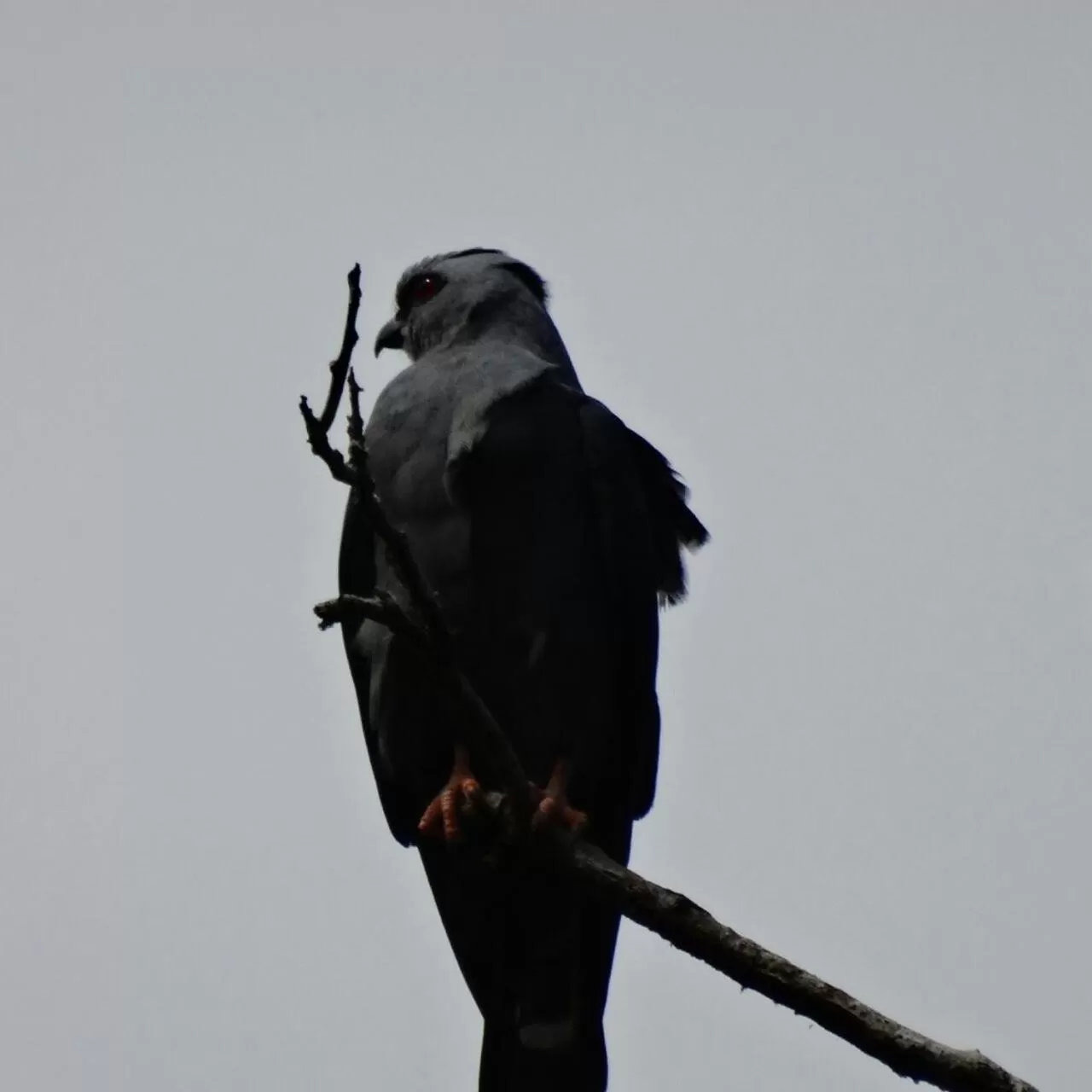 Activities in Posada Turística Rocas De Cabo Marzo