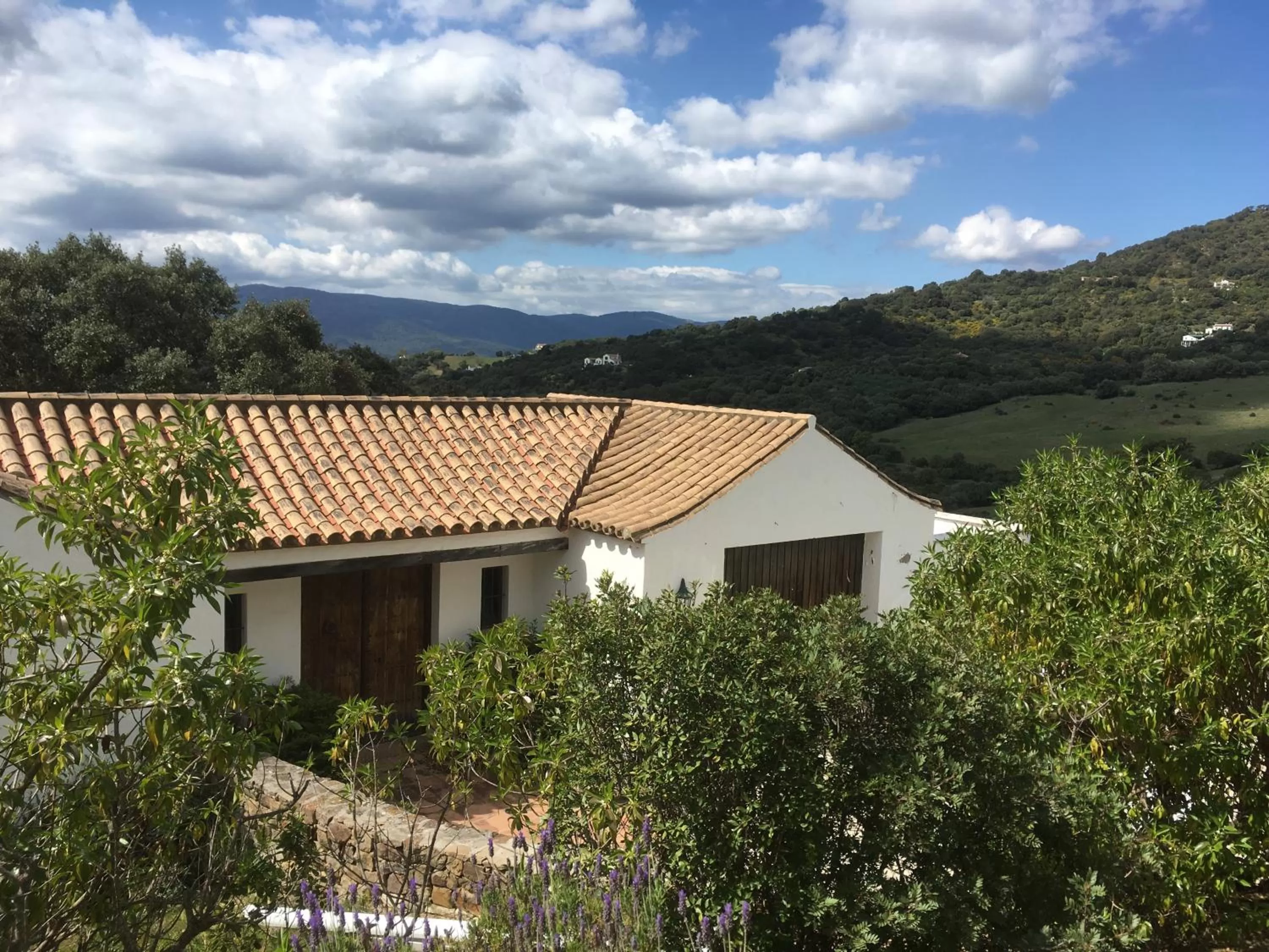 Property Building in Casa Laibon