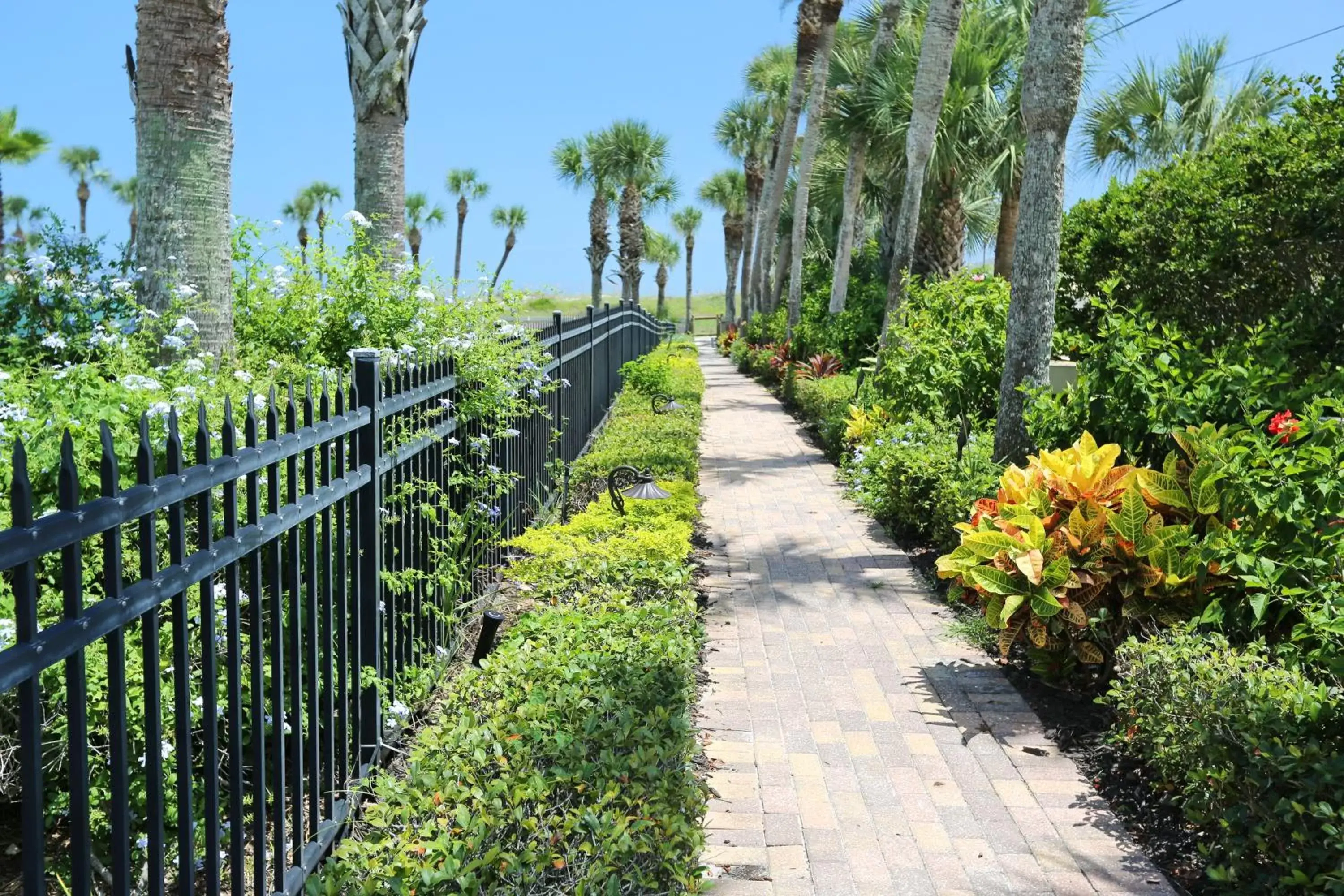 Area and facilities, Garden in La Fiesta Ocean Inn & Suites