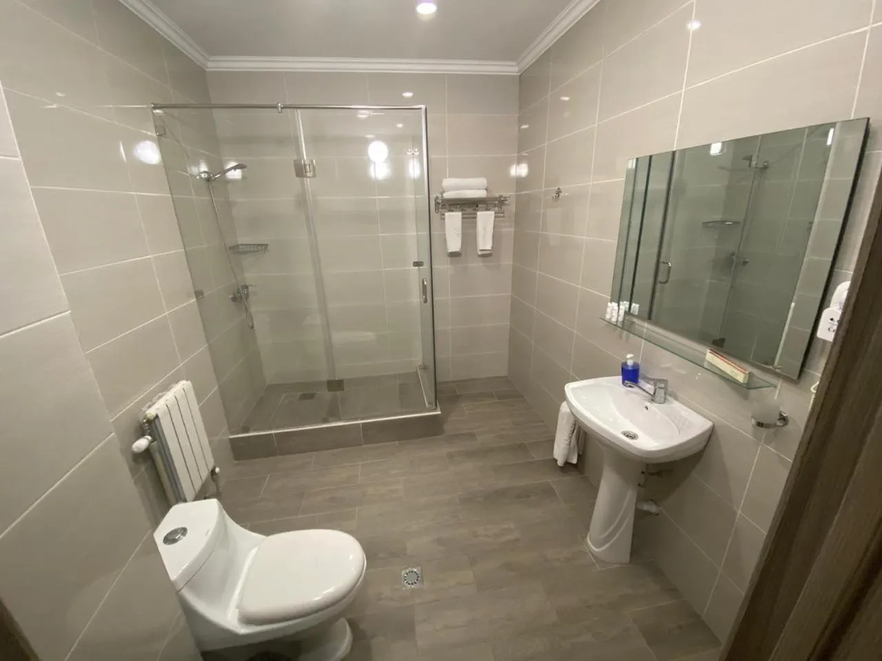 Shower in Renion Hotel