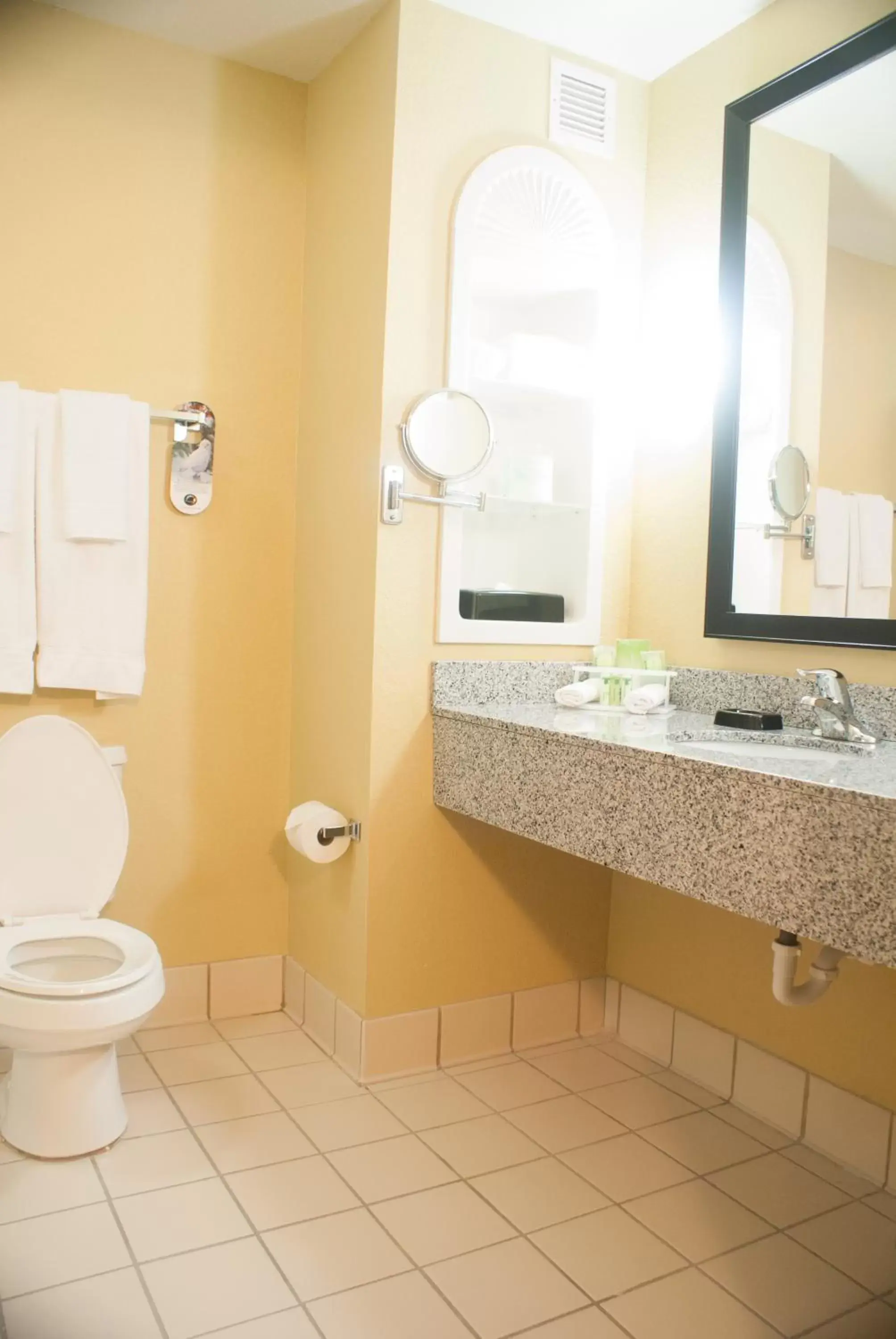 Bathroom in Holiday Inn Express & Suites Jacksonville South - I-295, an IHG Hotel