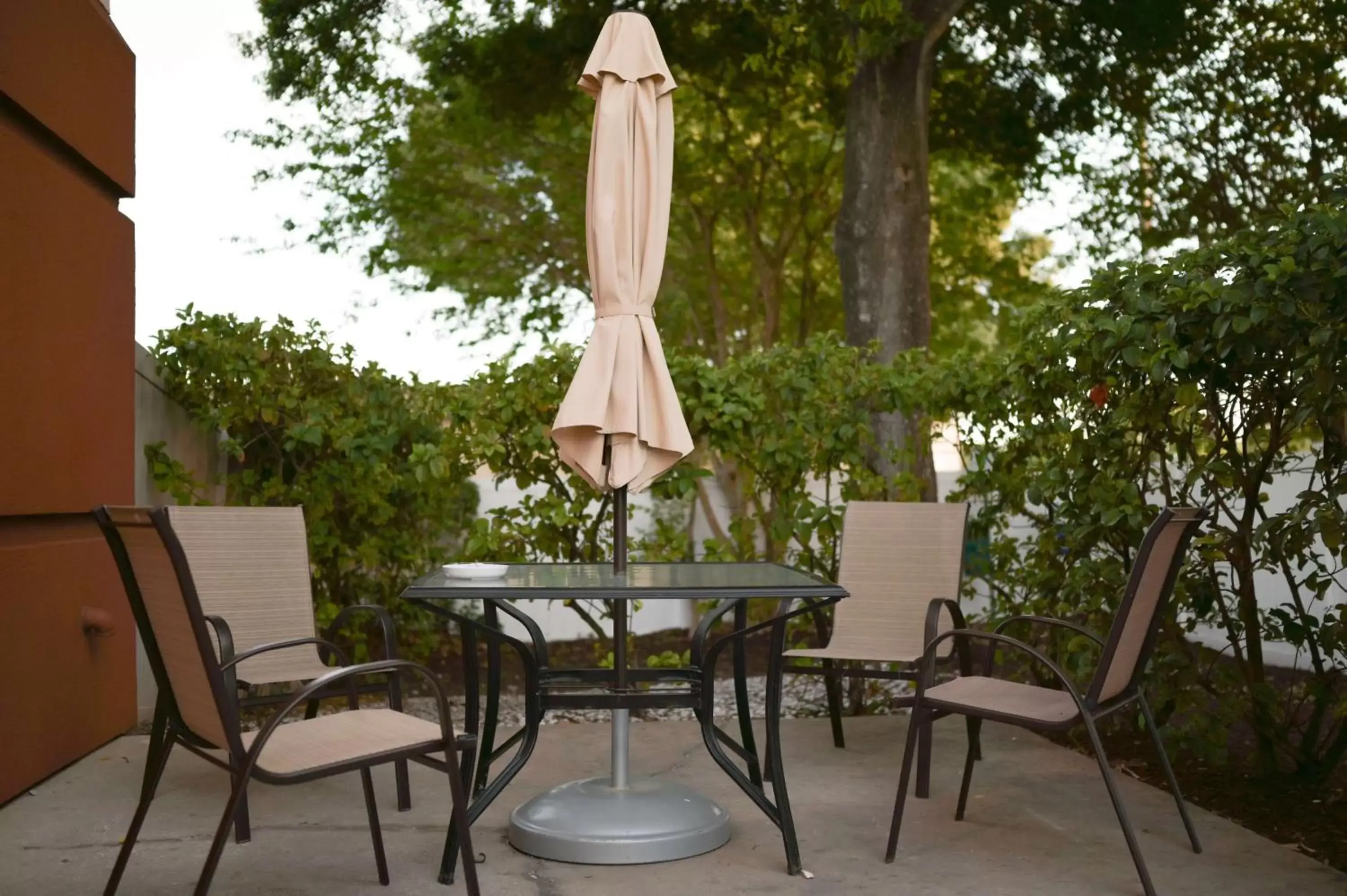 BBQ facilities in Sonesta Simply Suites Clearwater