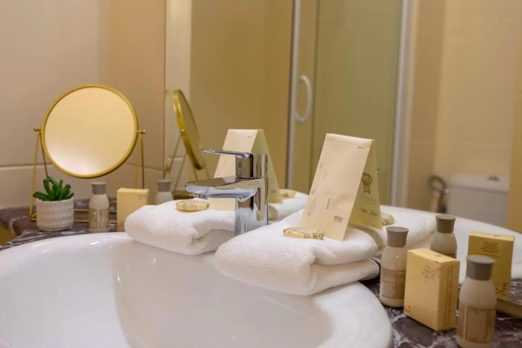 Toilet in Hotel Sir Royal