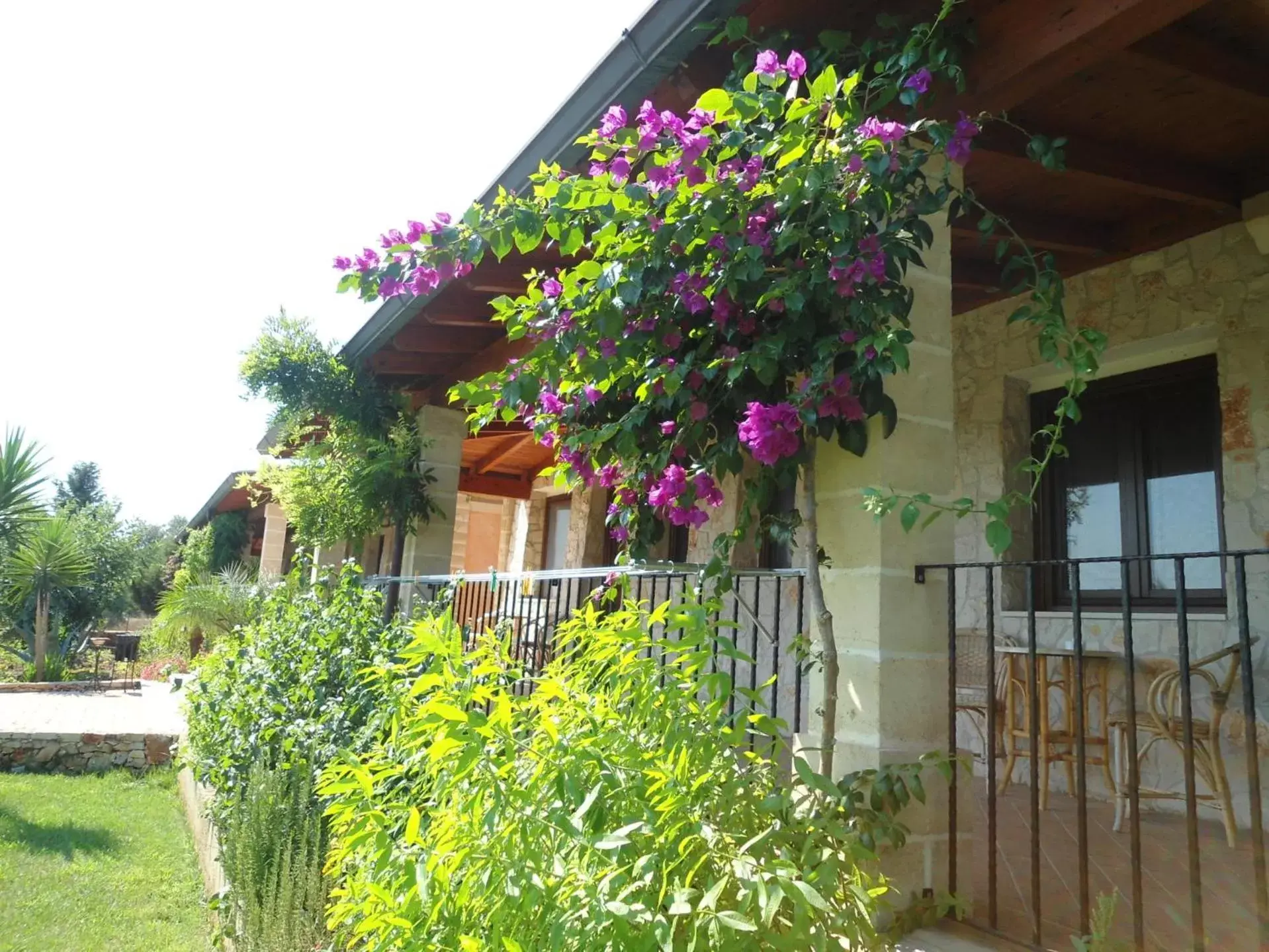 Patio, Garden in Hotel Masseria Le Pajare