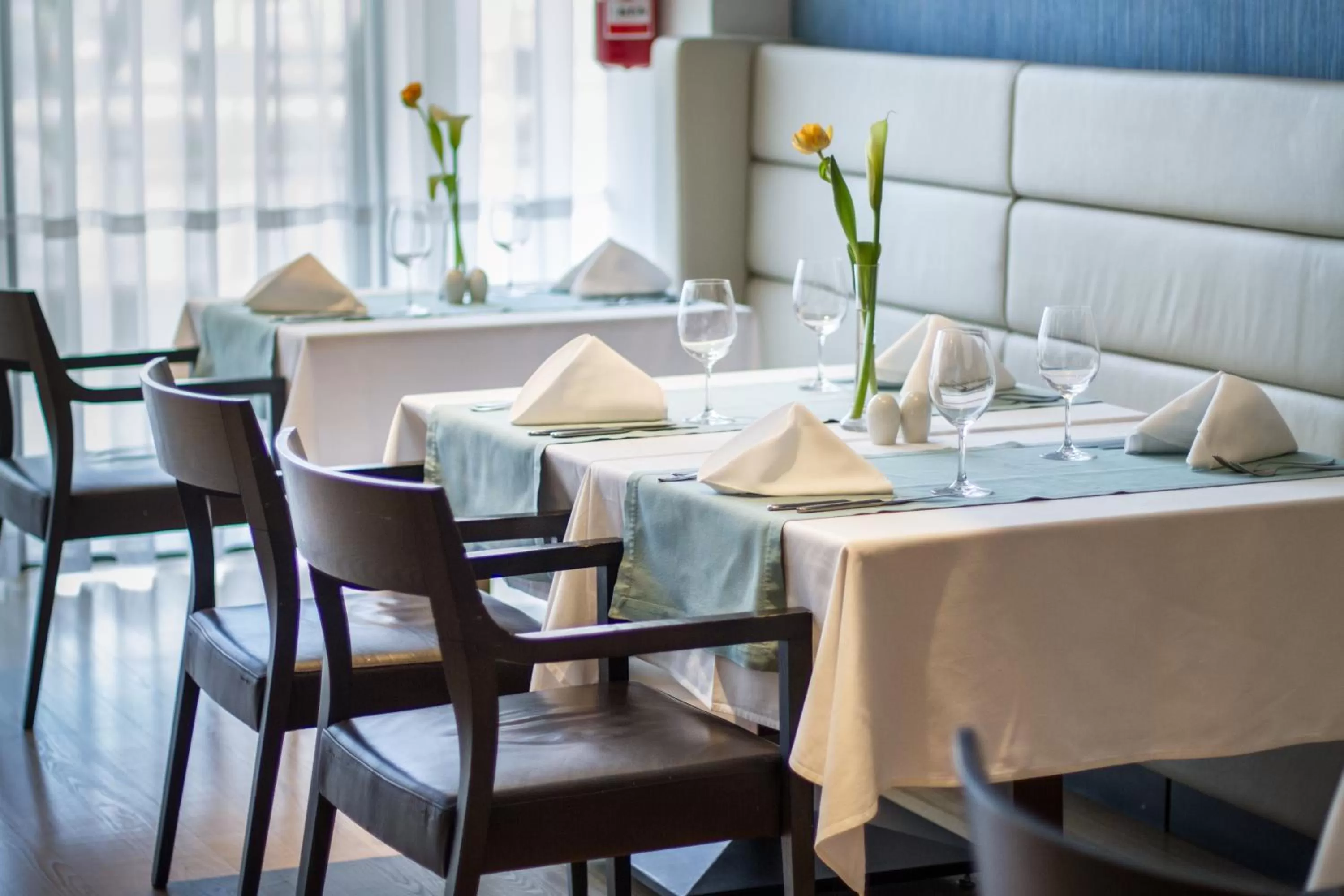 Restaurant/places to eat in Hotel Atrium