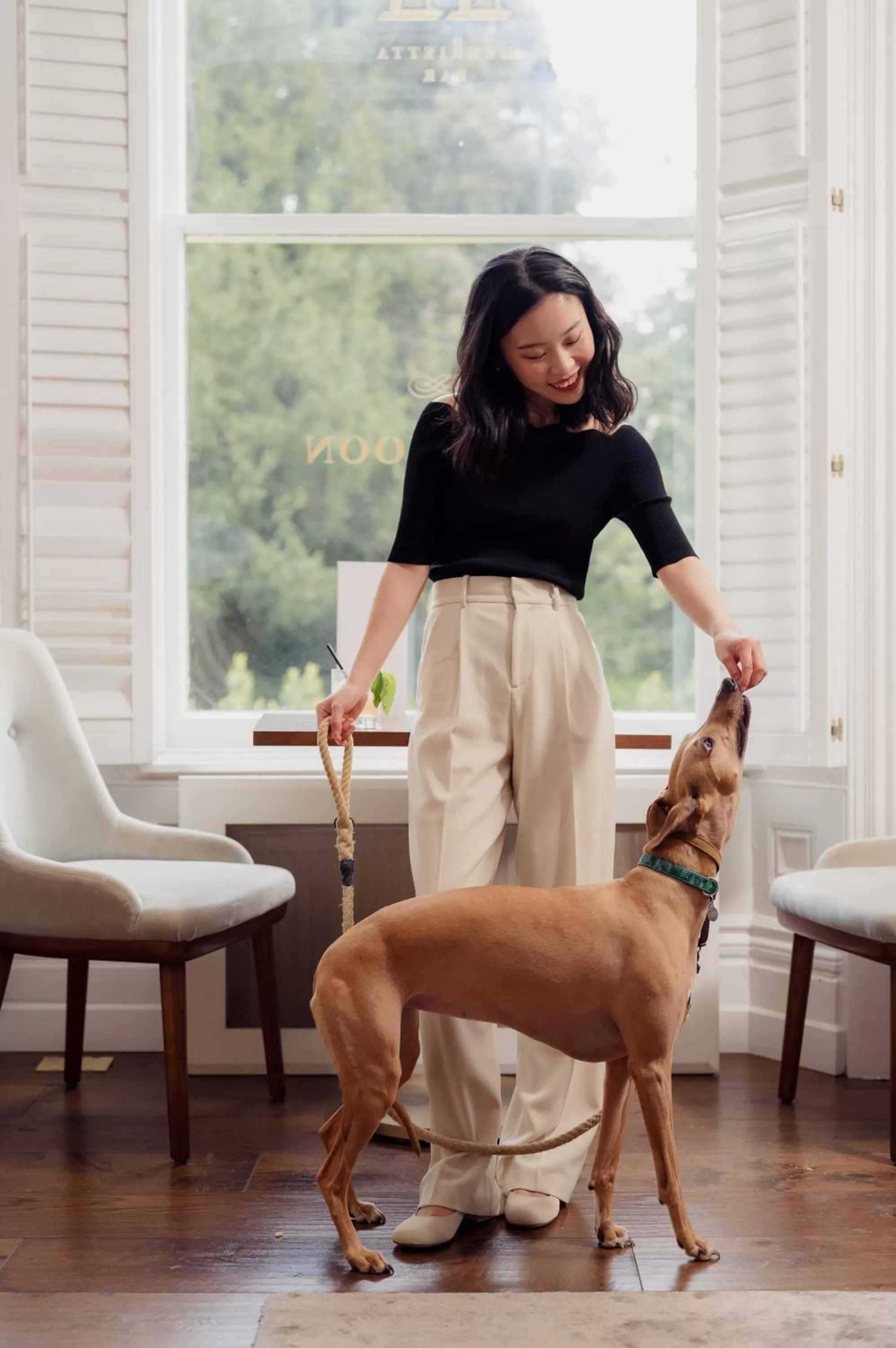 Pets in The Roseate Villa Bath
