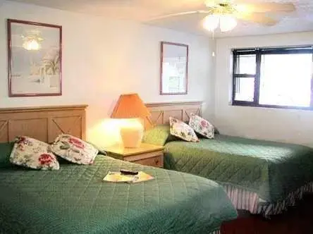 Standard Room with Two Double Beds - Lake View in Lake Roy Beach Inn - Winter Haven Standard Room with Two Double Beds - Lake View in Lake Roy Beach Inn - Winter Haven