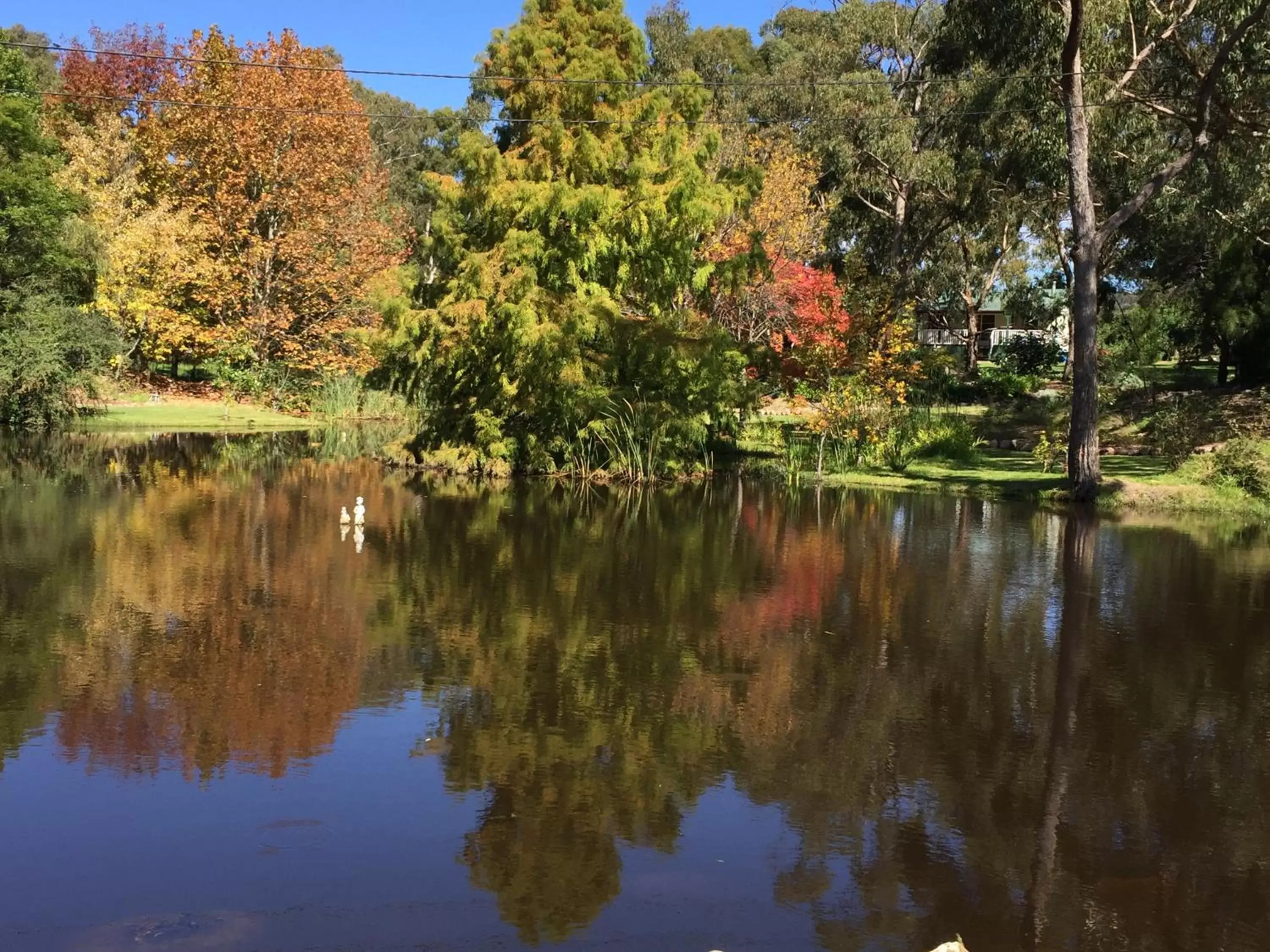 Lake view in Granite Gardens Cottages & Lake Retreat