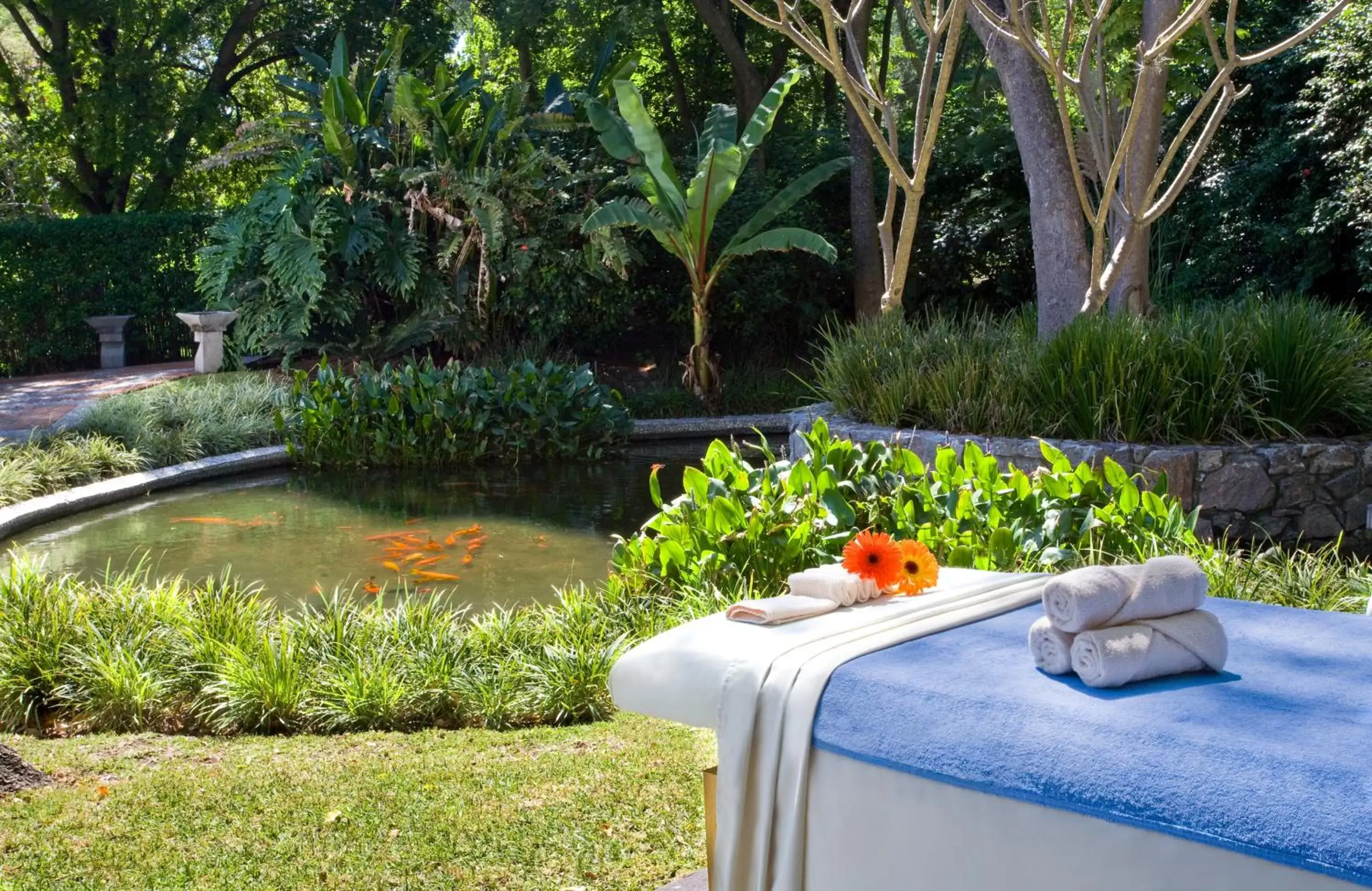 Spa and wellness centre/facilities, Garden in Hotel Rancho San Diego Grand Spa Resort