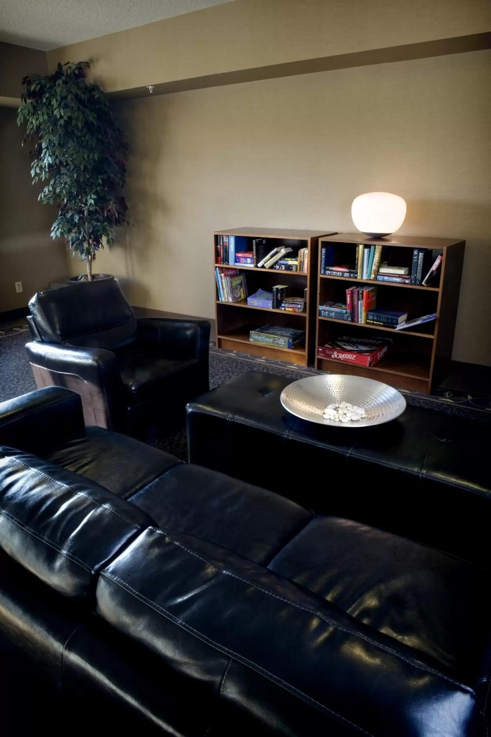 Communal lounge/ TV room, Seating Area in Heritage Inn & Suites - Brooks