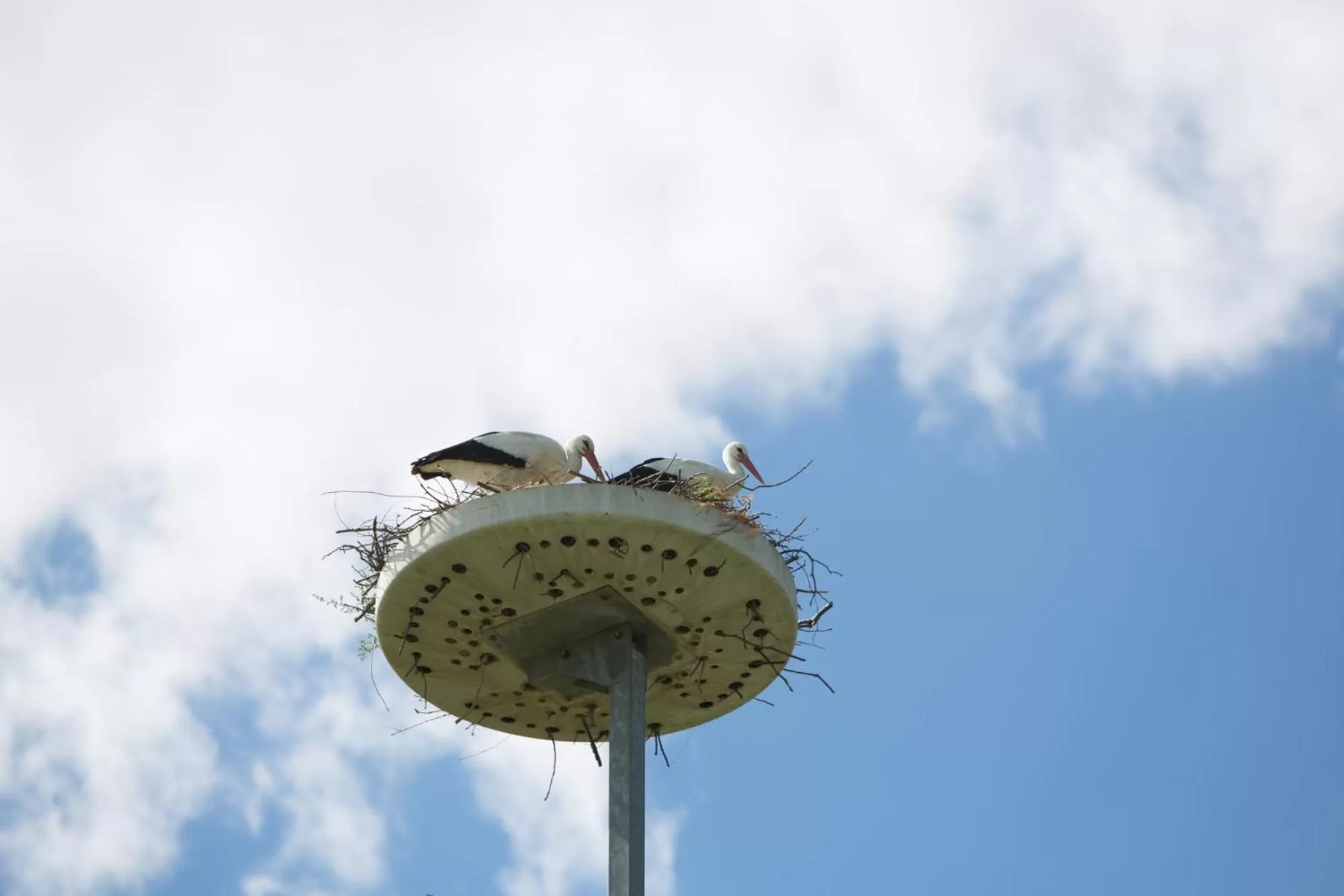 Day in Villa Abbondanzi Resort