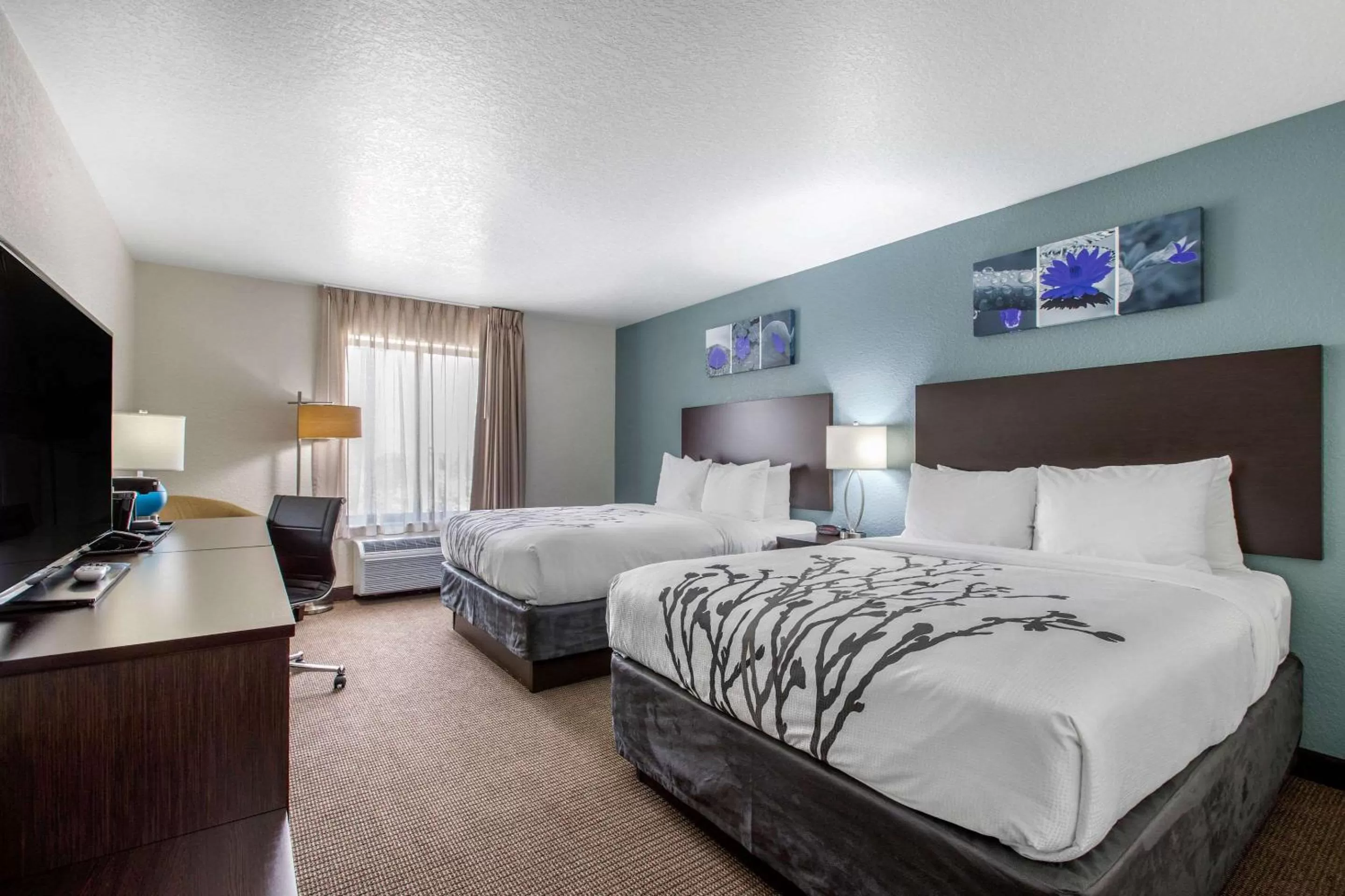 Photo of the whole room, Bed in Sleep Inn & Suites Ankeny - Des Moines