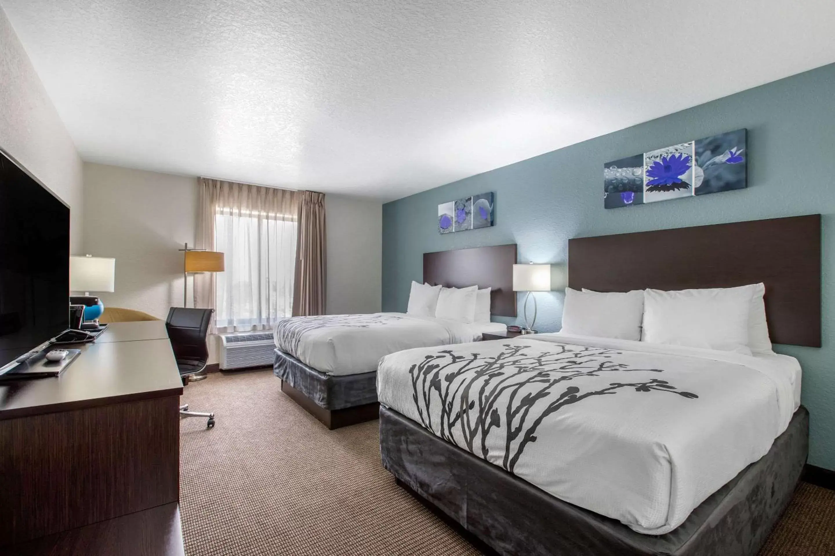 Photo of the whole room in Sleep Inn & Suites Ankeny - Des Moines