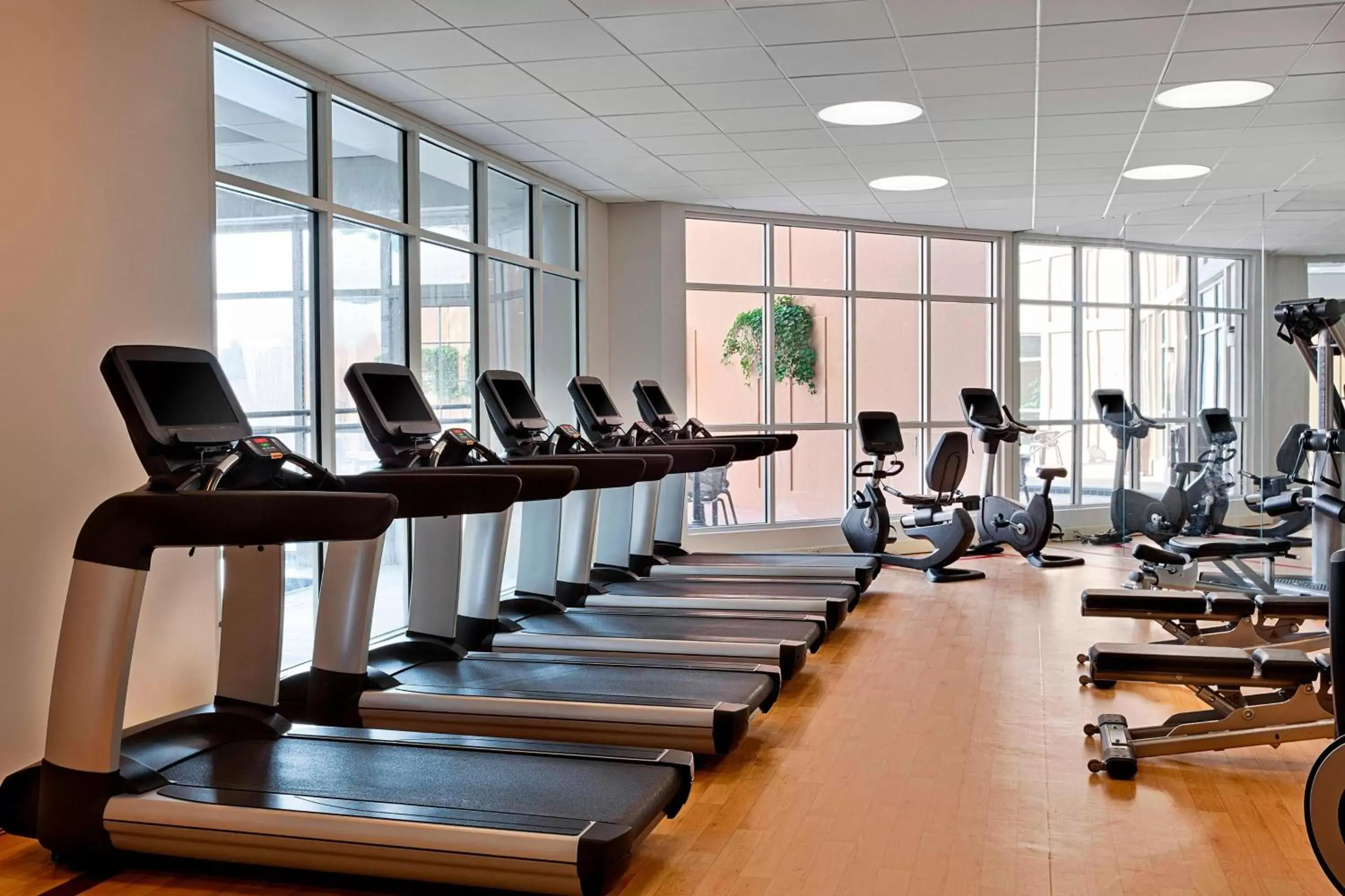Fitness centre/facilities, Fitness Center/Facilities in Sheraton Suites Galleria Atlanta