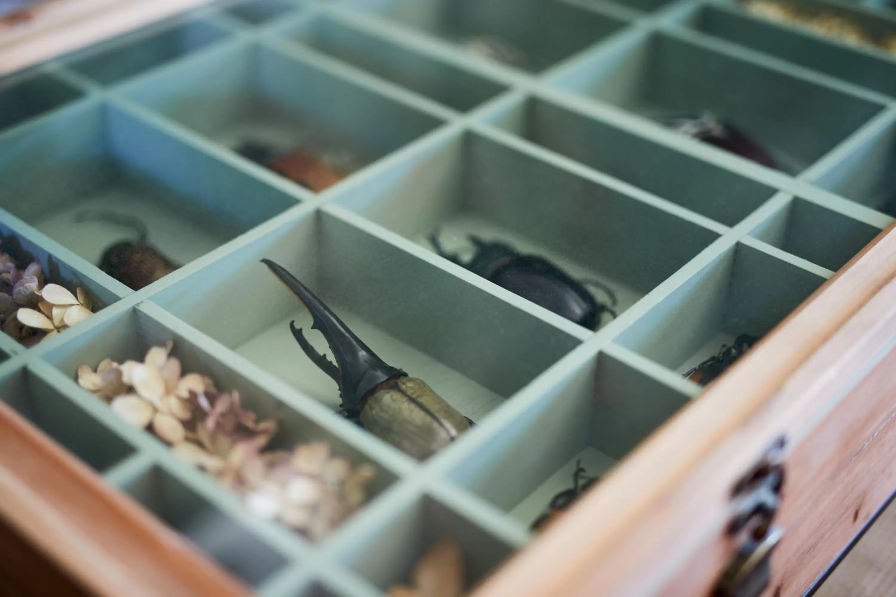 Decorative detail in la_grande_guerais