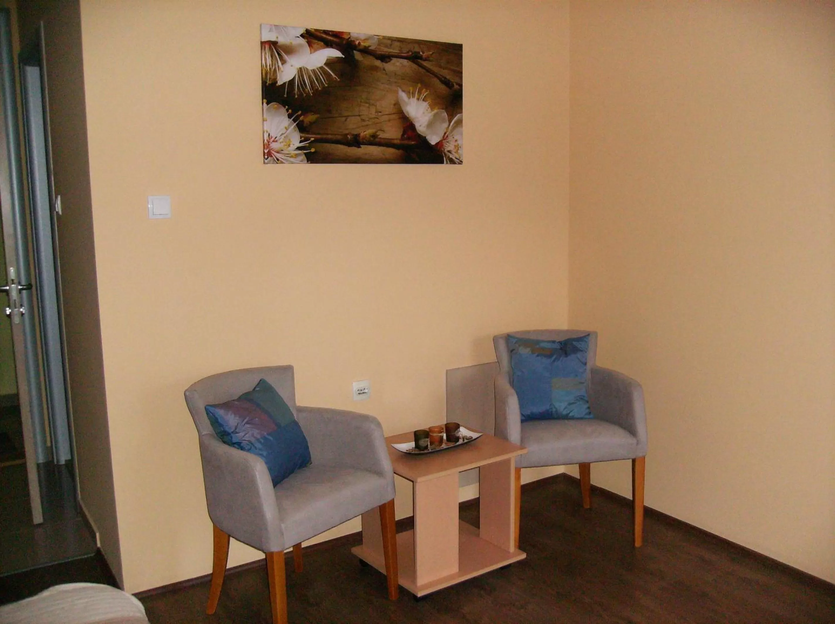 Seating area in B&B Zmajevo Gnezdo 021