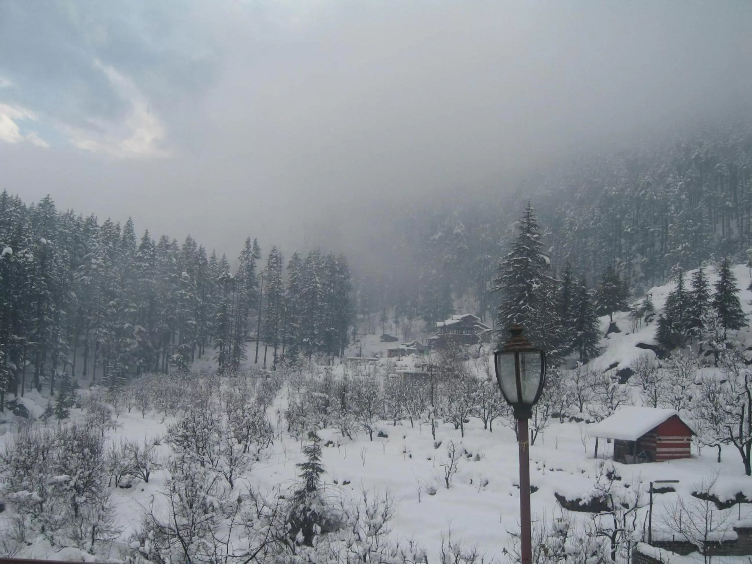 Natural landscape in Snow Valley Resorts & Spa Manali