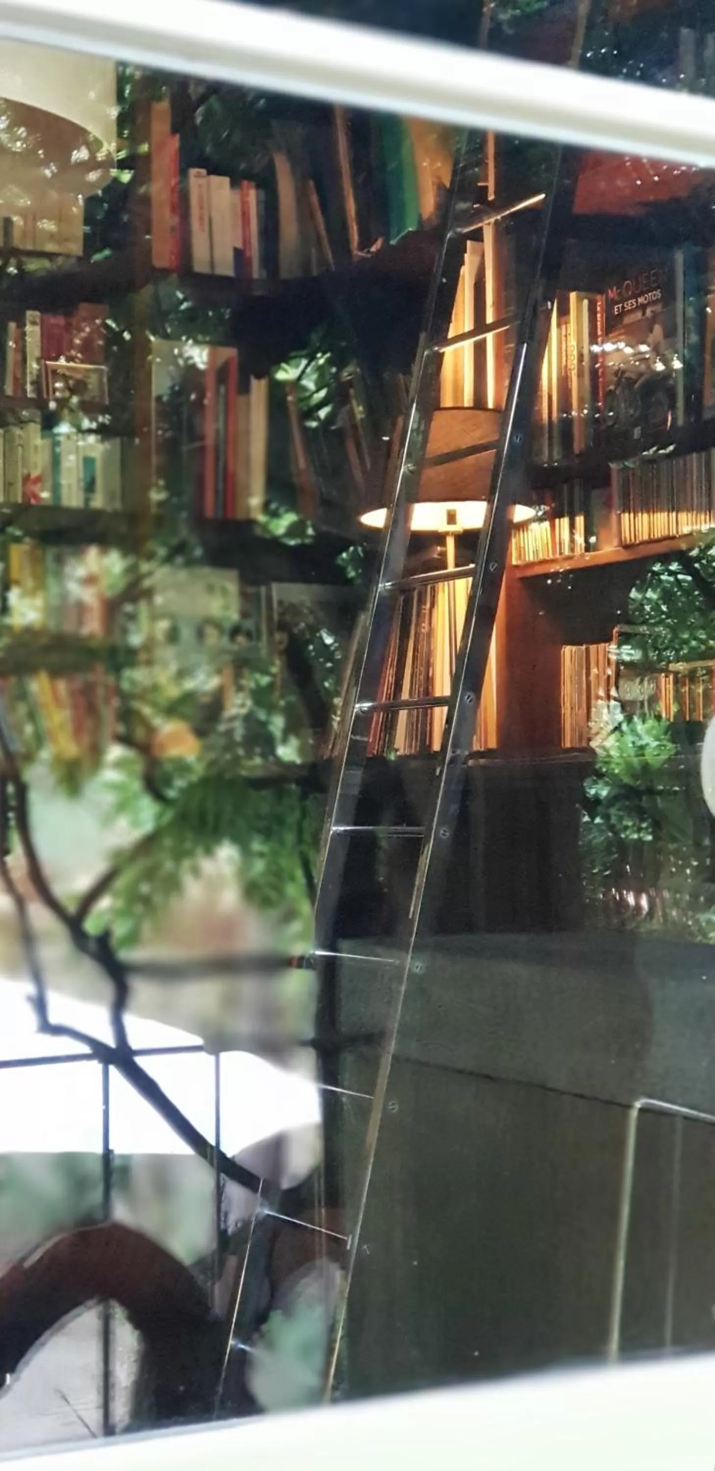 Pool View in Castel Jolly