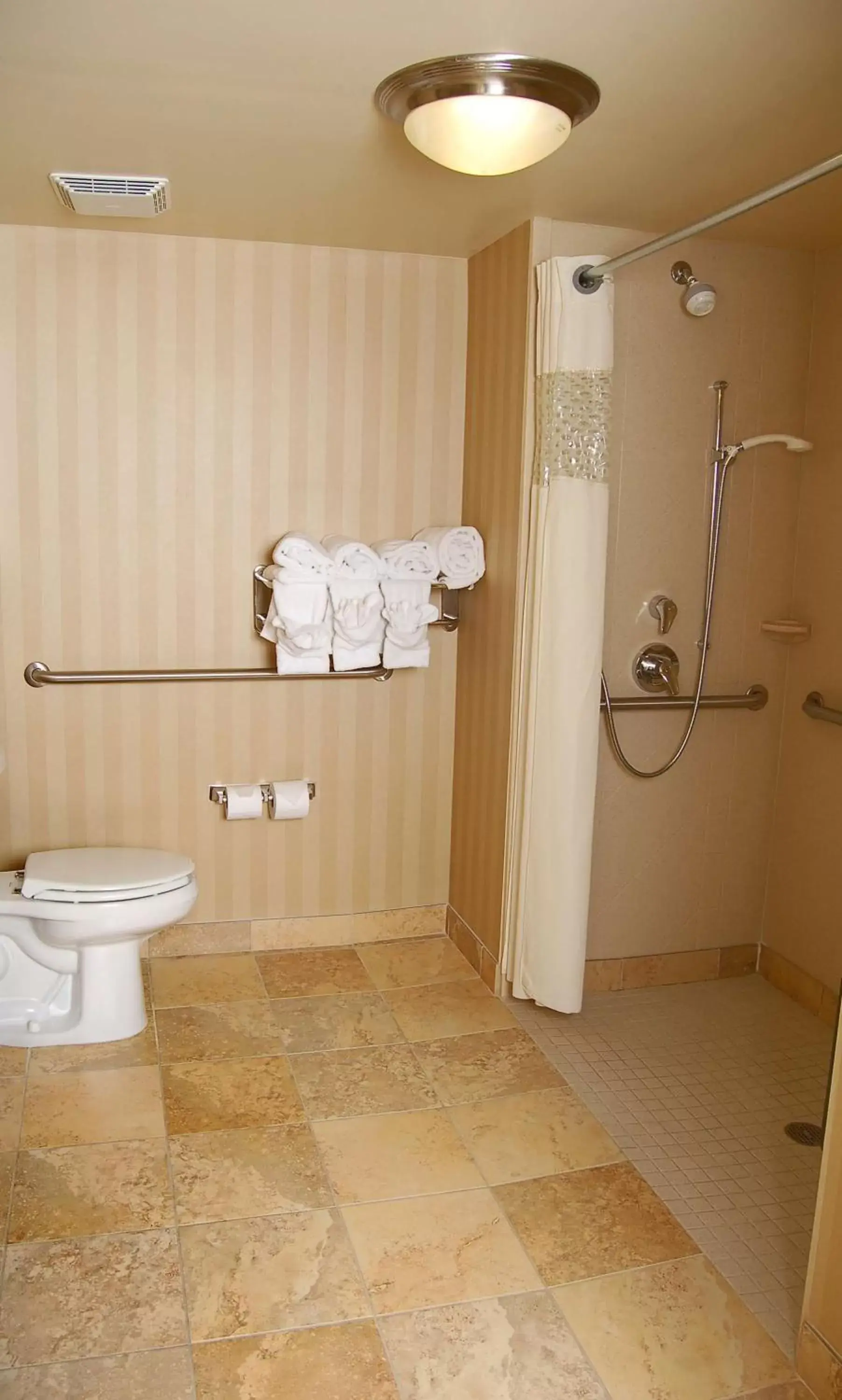 Bathroom in Hampton Inn & Suites Mobile Providence Park/Airport