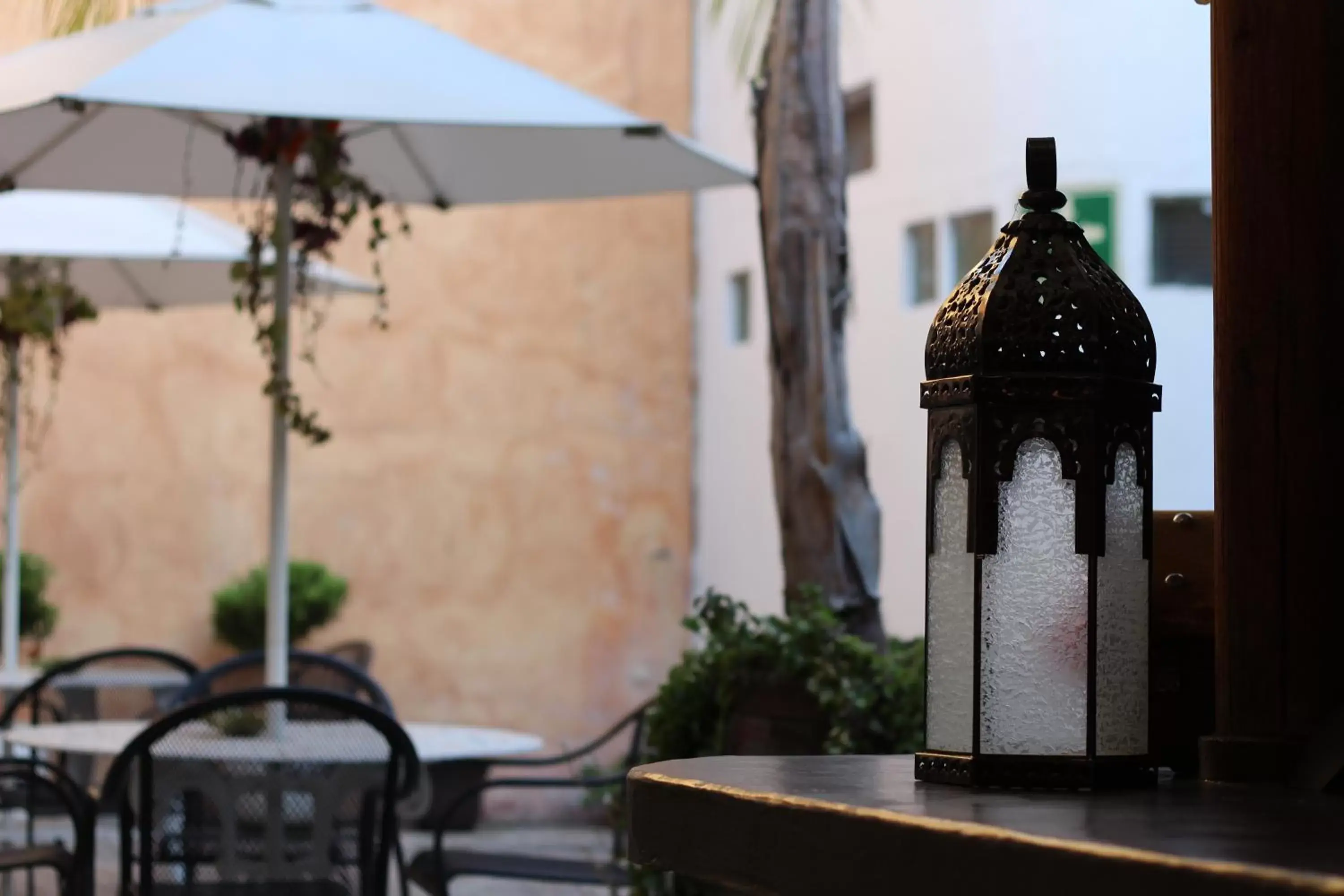 Patio, Patio/Outdoor Area in Hotel Punto 79