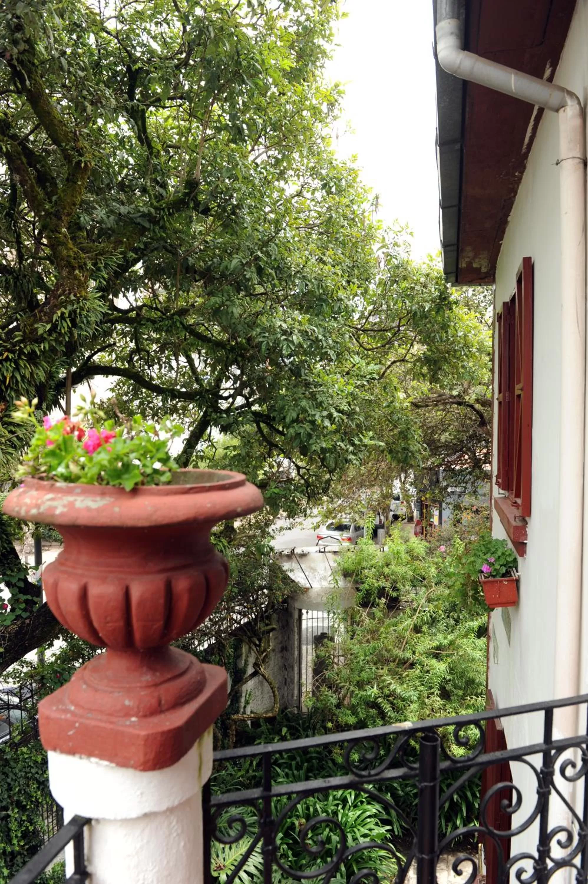 Decorative detail in Boutique Hotel Antinea